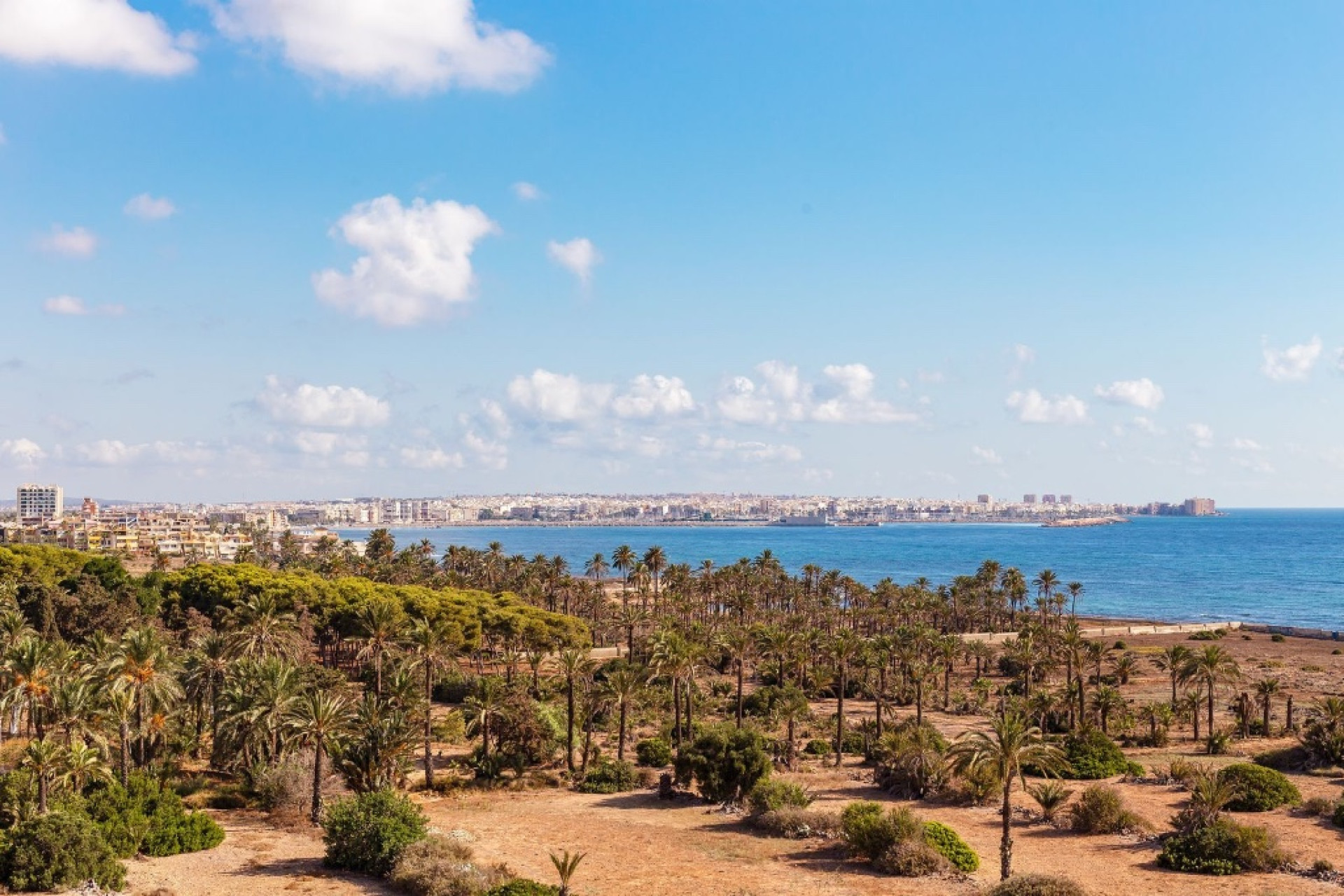 Reventa - 1. Apartamento / piso - Punta Prima - Costa Blanca Sur