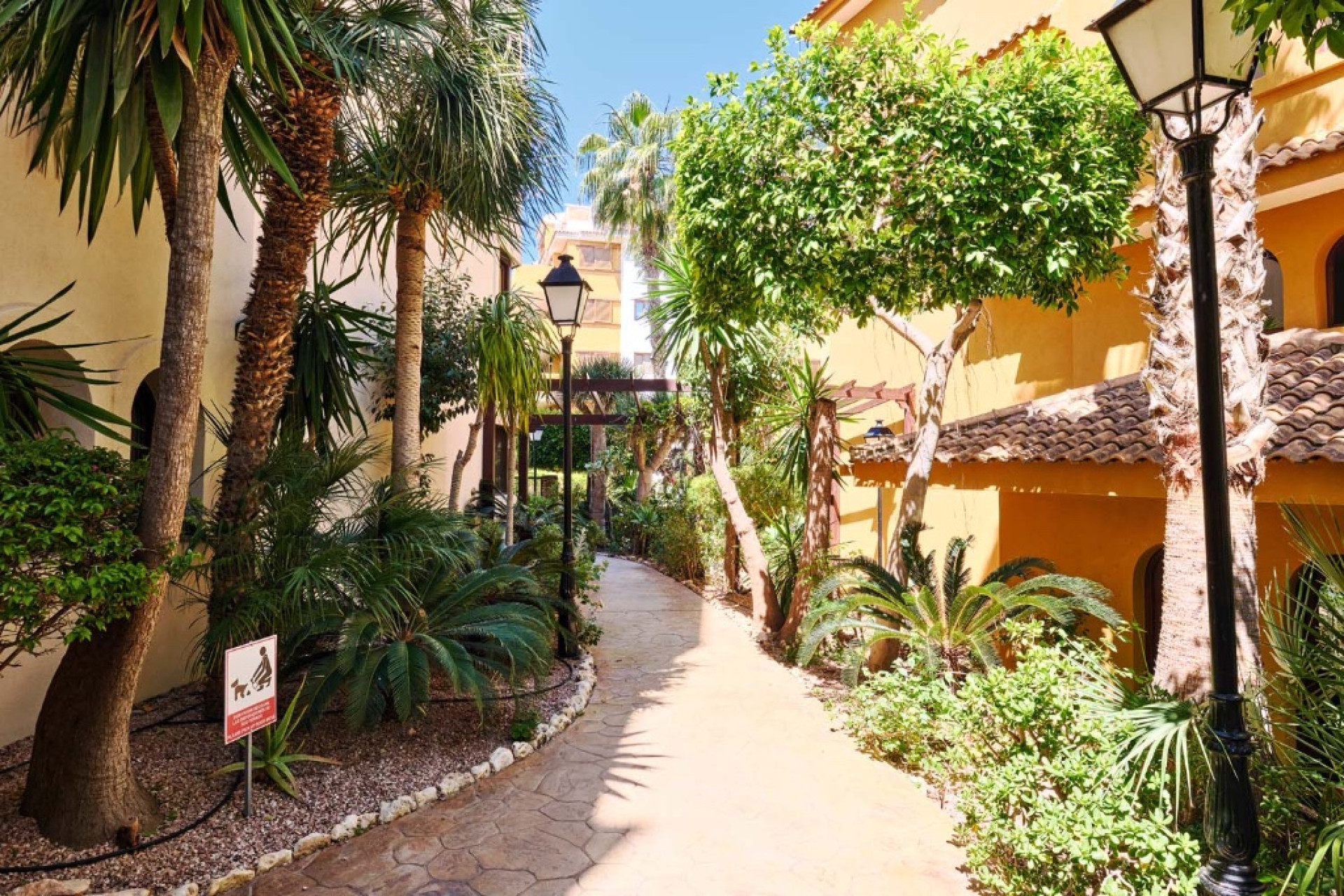 Reventa - 1. Apartamento / piso - Punta Prima - Costa Blanca Sur