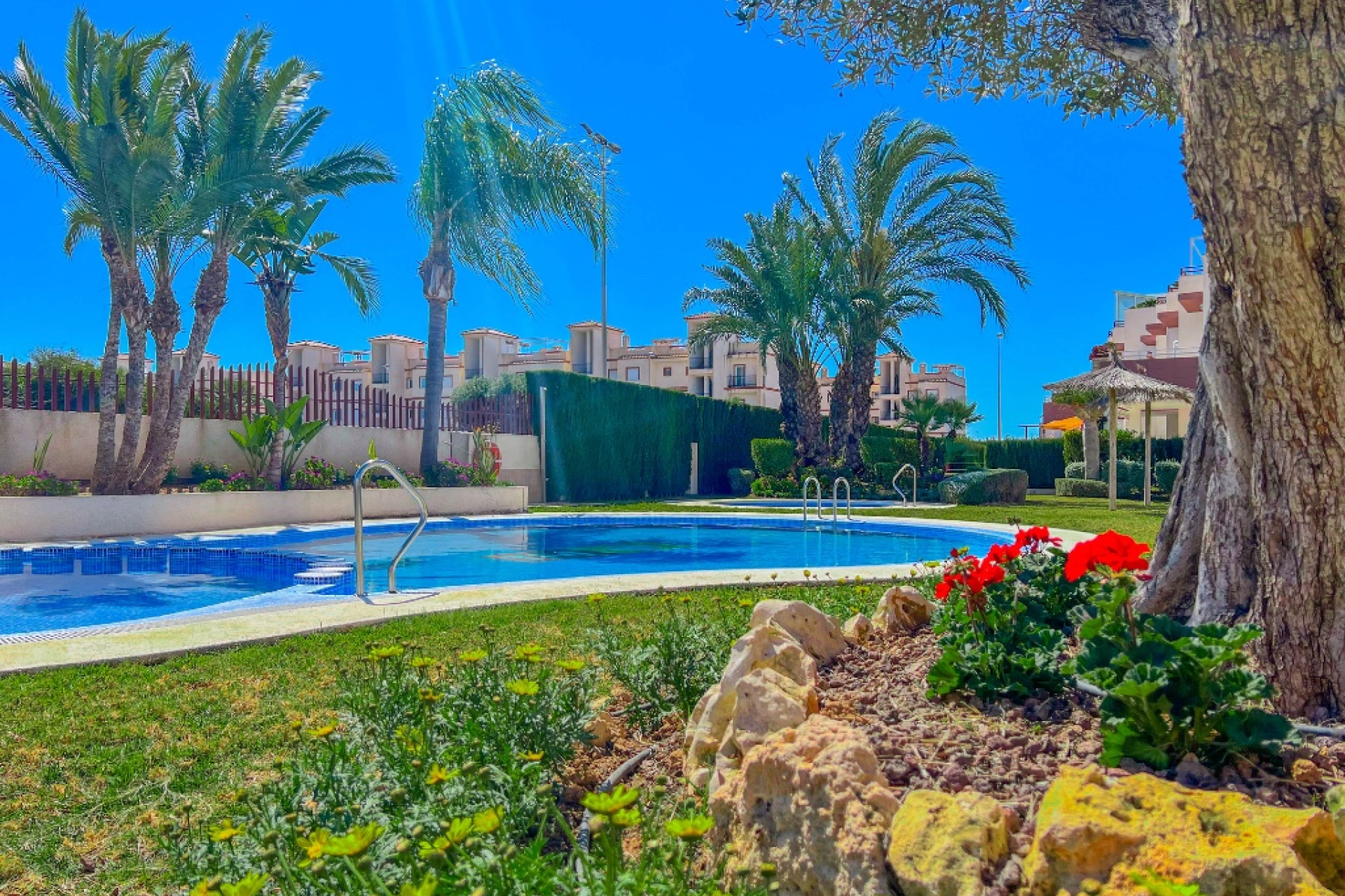 Reventa - 1. Apartamento / piso - Punta Prima - Costa Blanca Sur