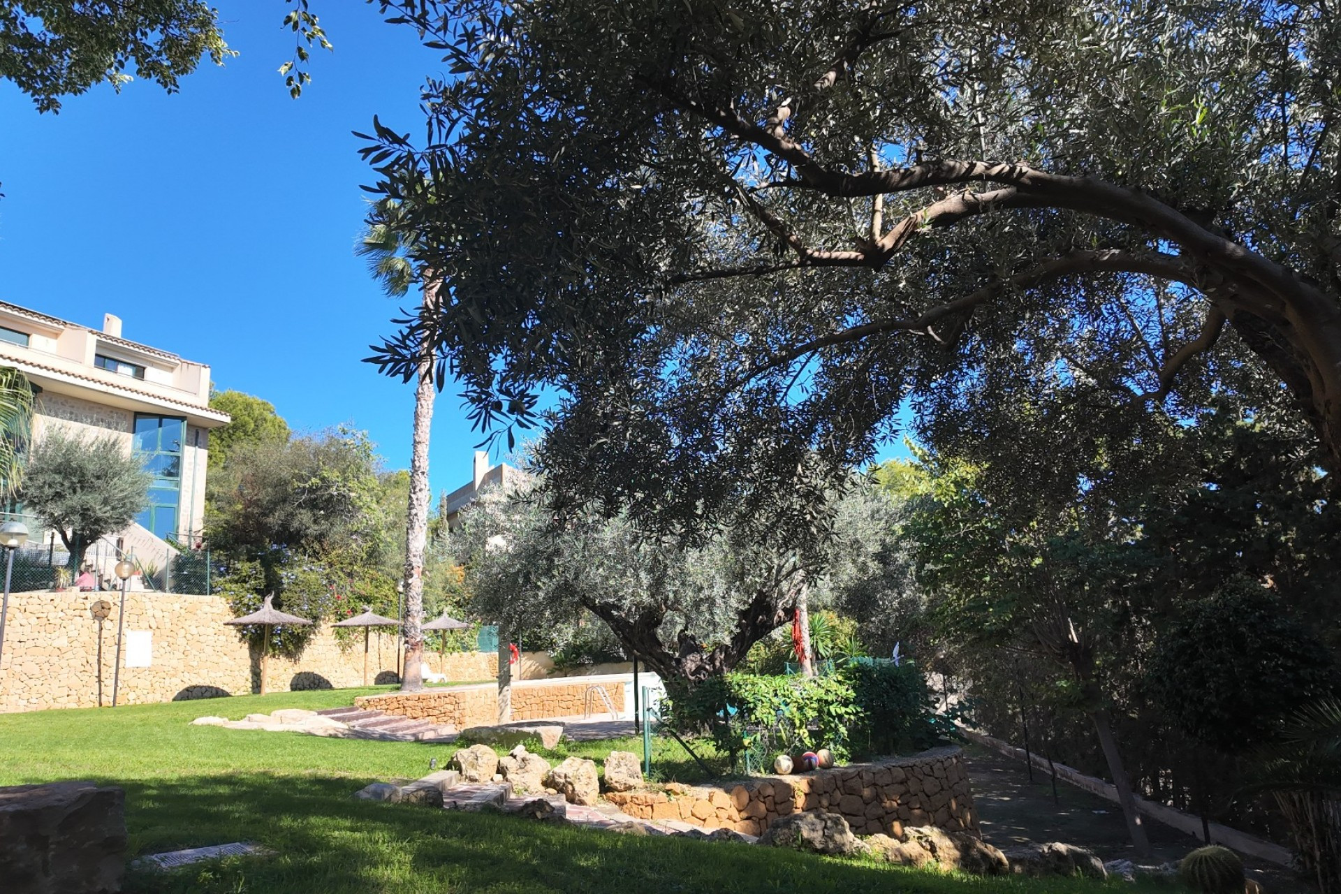 Reventa - 1. Apartamento / piso - San Juan de Alicante - Costa Blanca Norte 