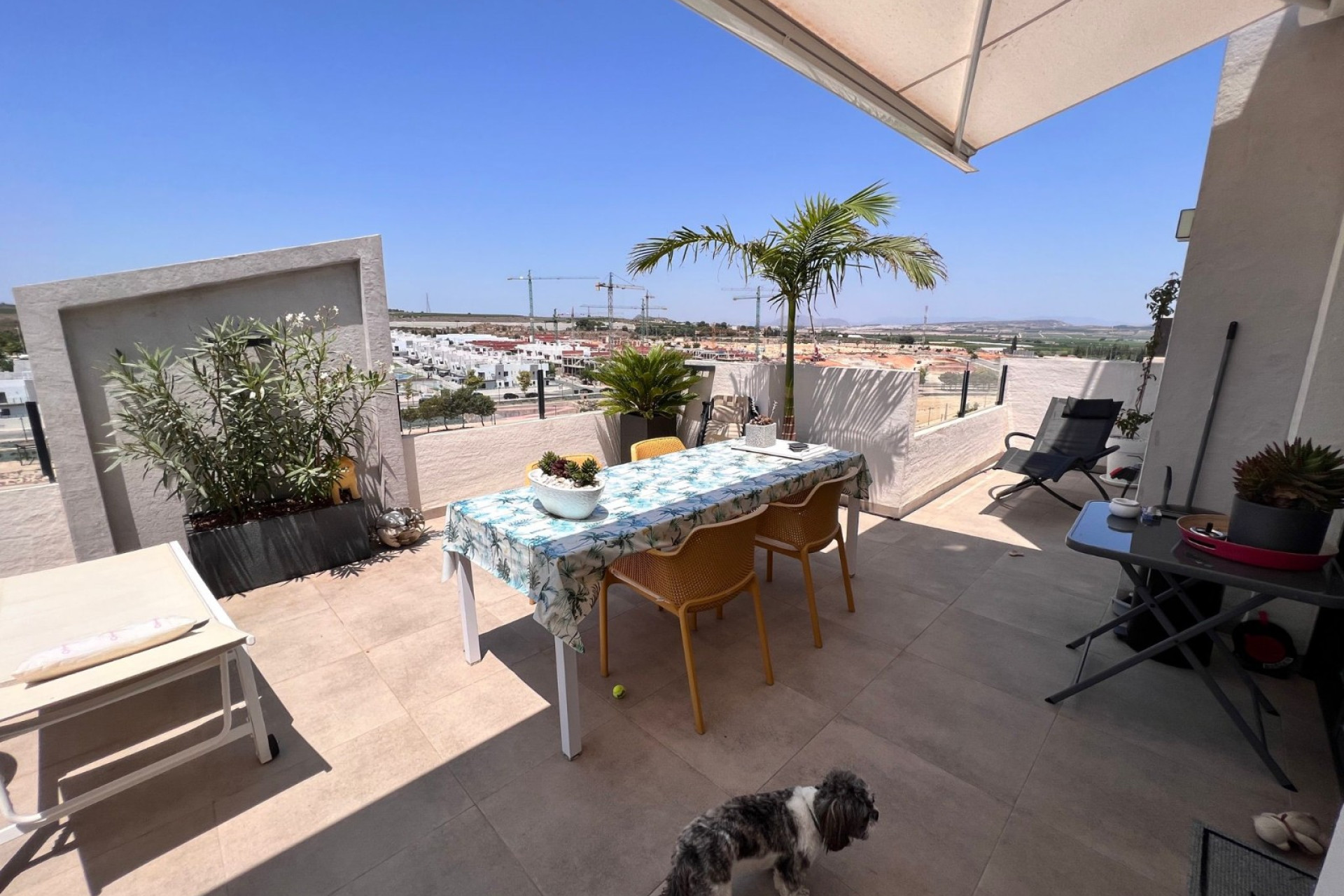 Reventa - 1. Apartamento / piso - San Miguel de Salinas - Costa Blanca Sur