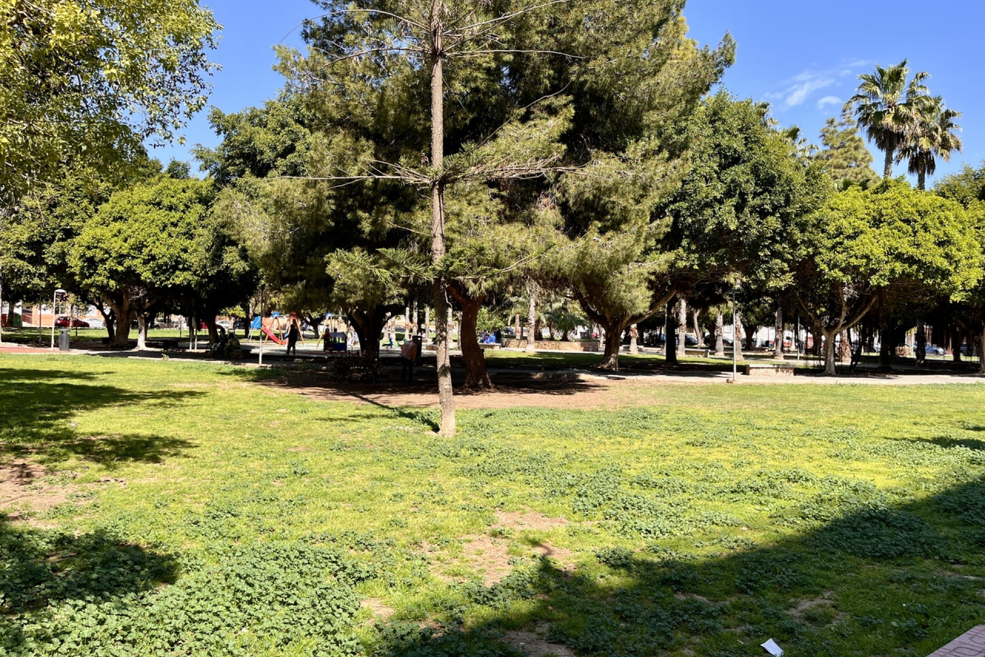 Reventa - 1. Apartamento / piso - Torrevieja - Costa Blanca Sur