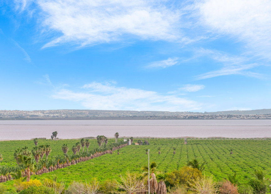 Reventa - 1. Apartamento / piso - Torrevieja - Costa Blanca Sur