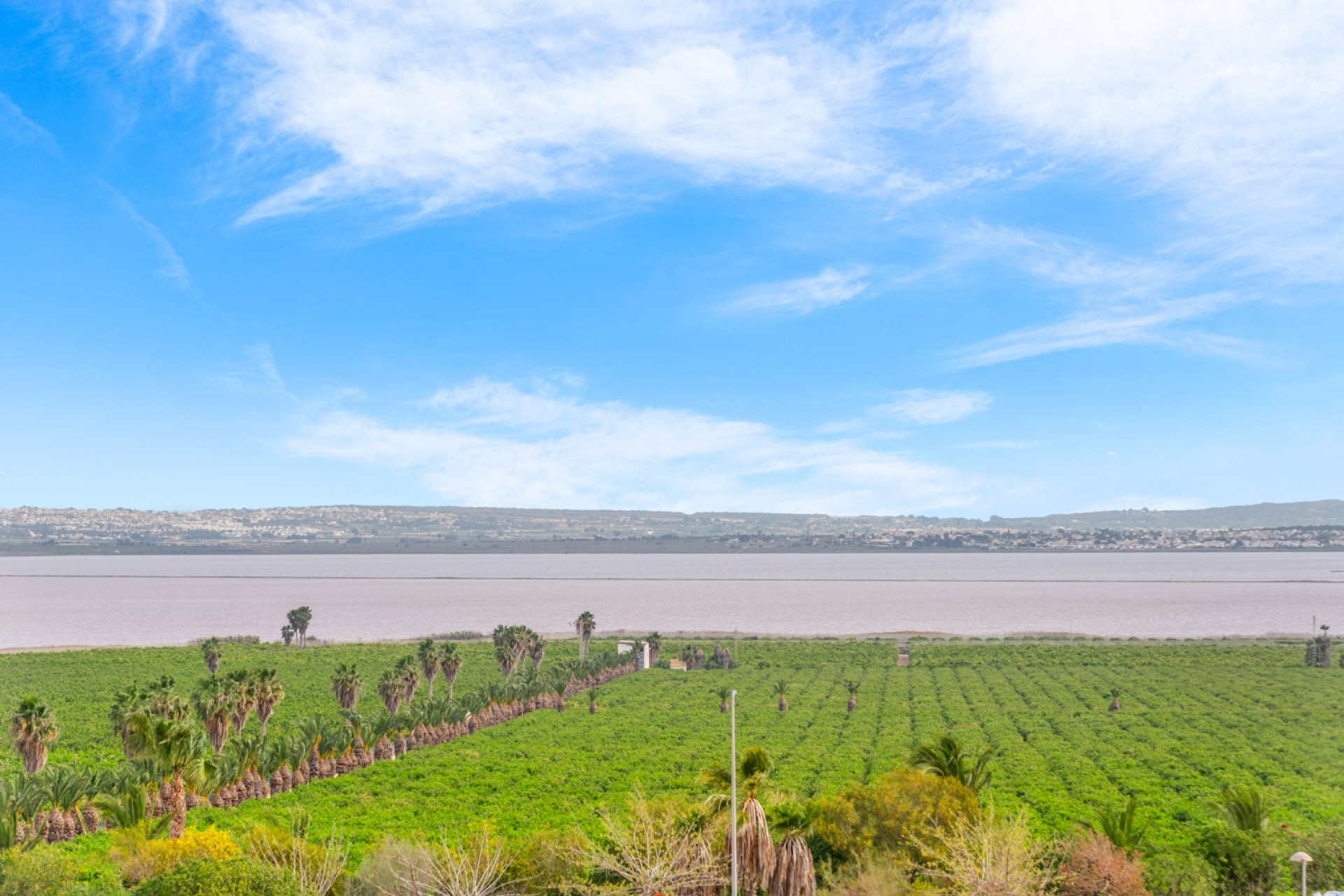 Reventa - 1. Apartamento / piso - Torrevieja - Costa Blanca Sur