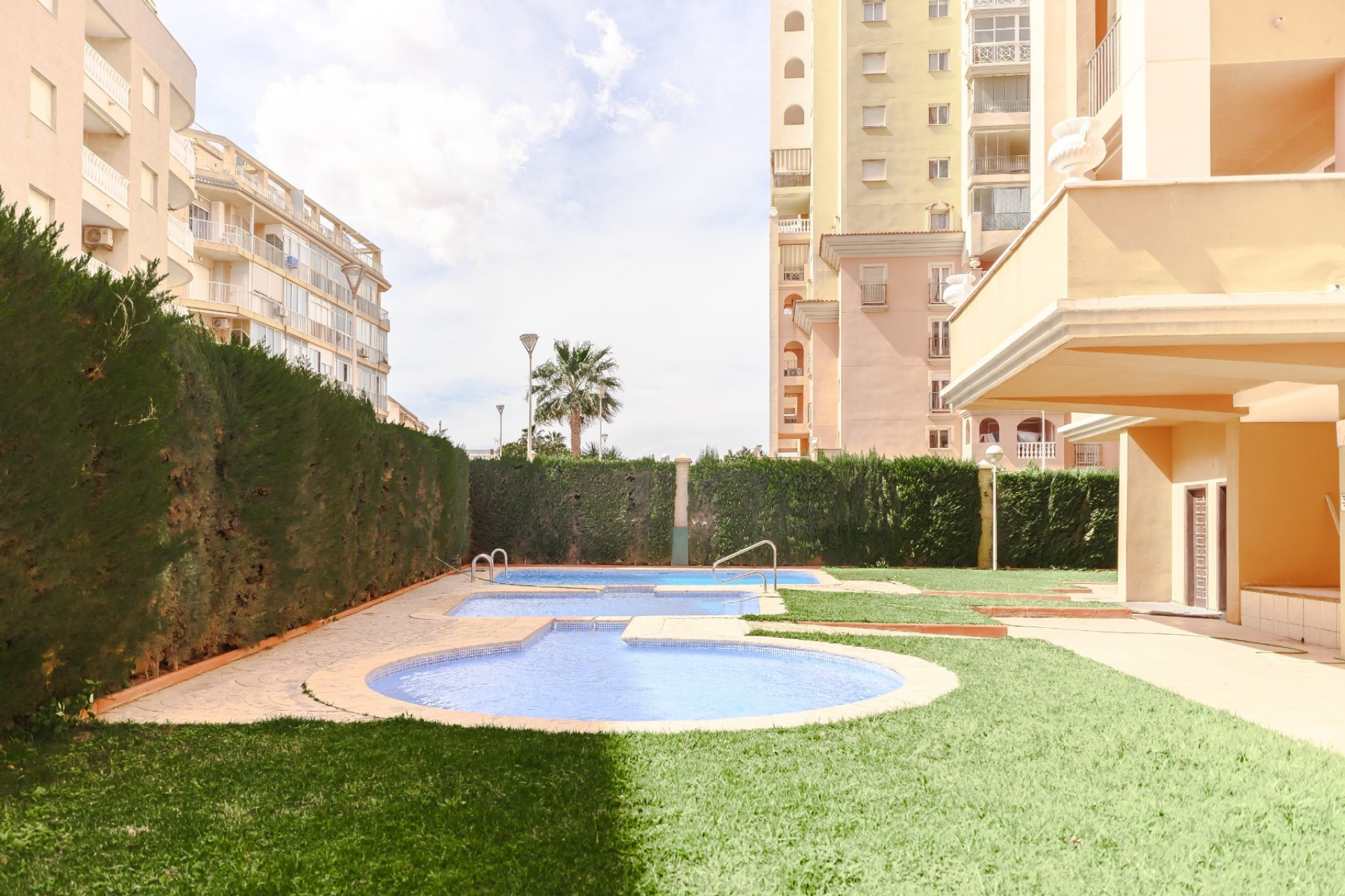 Reventa - 1. Apartamento / piso - Torrevieja - Costa Blanca Sur
