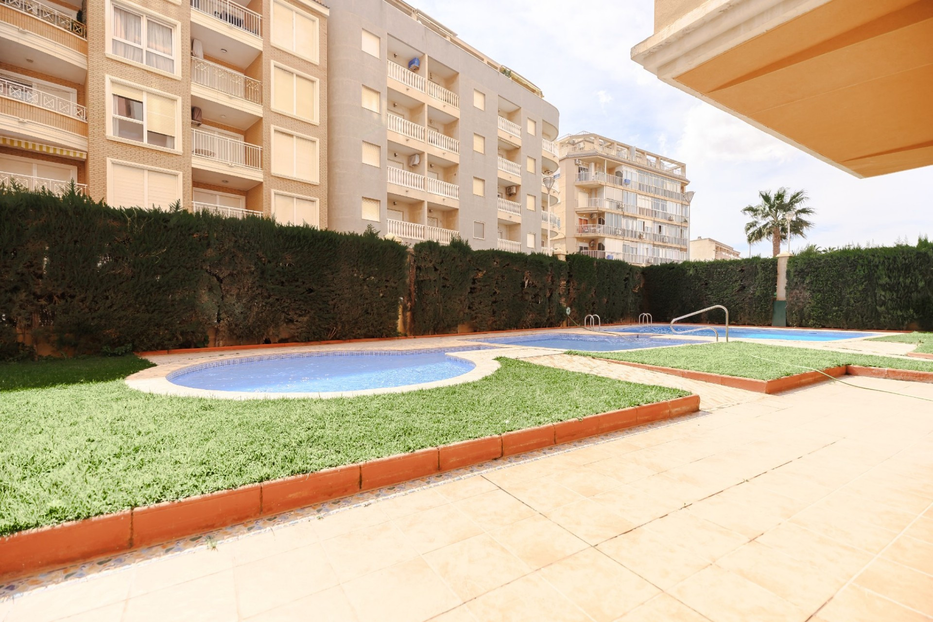 Reventa - 1. Apartamento / piso - Torrevieja - Costa Blanca Sur