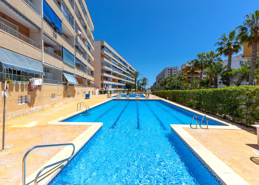 Reventa - 1. Apartamento / piso - Torrevieja - Costa Blanca Sur