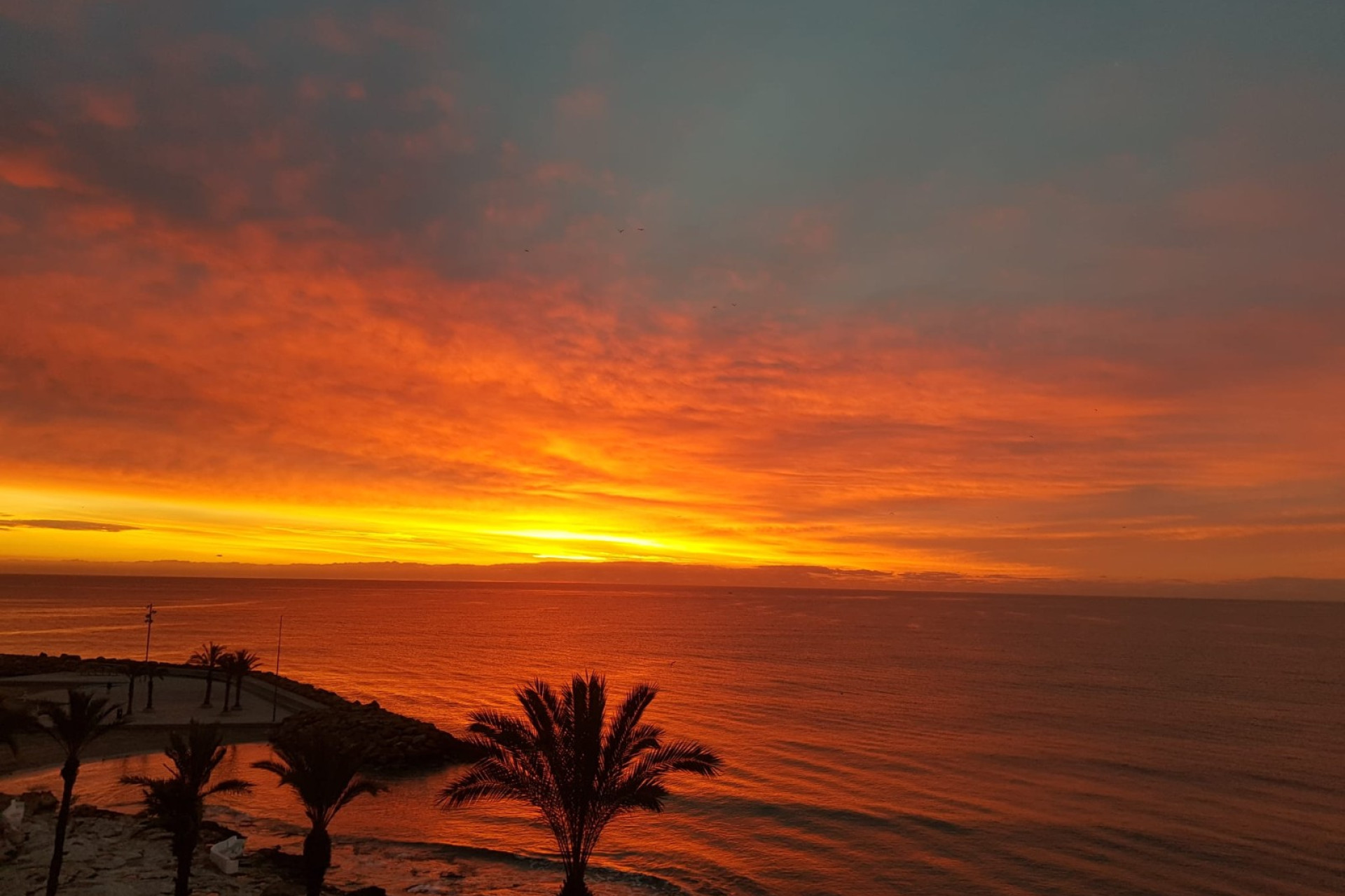 Reventa - 1. Apartamento / piso - Torrevieja - Costa Blanca Sur