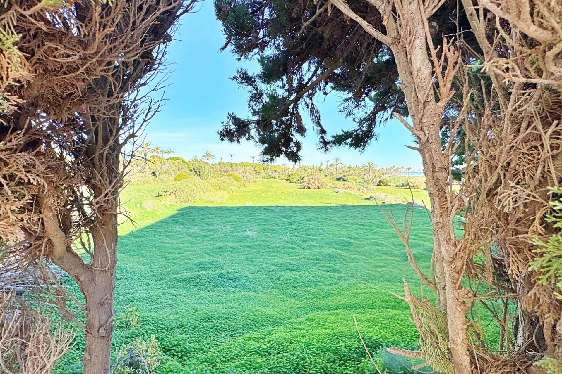 Reventa - 1. Apartamento / piso - Torrevieja - Costa Blanca Sur