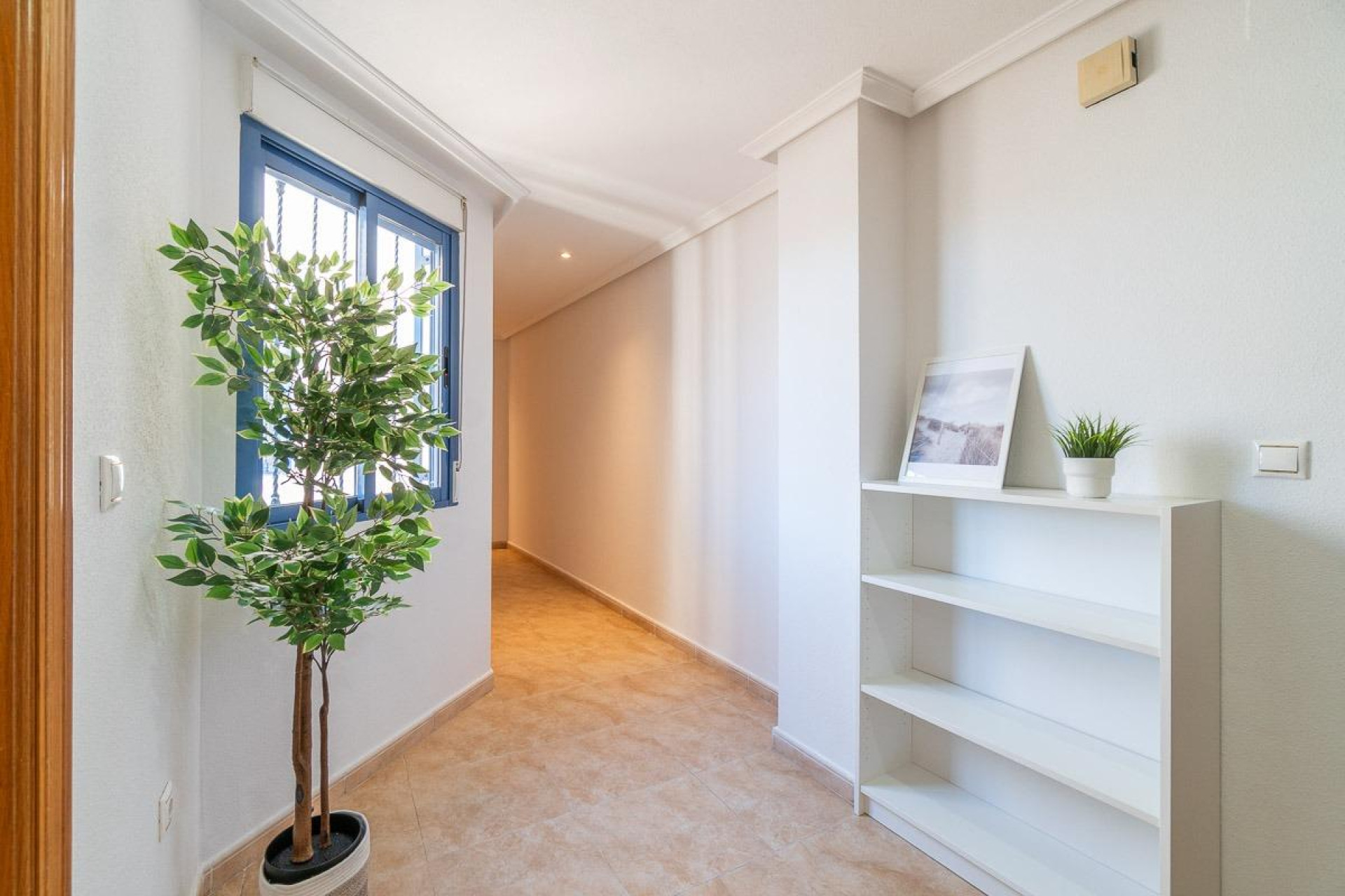 Reventa - 1. Apartamento / piso - Torrevieja - Costa Blanca Sur