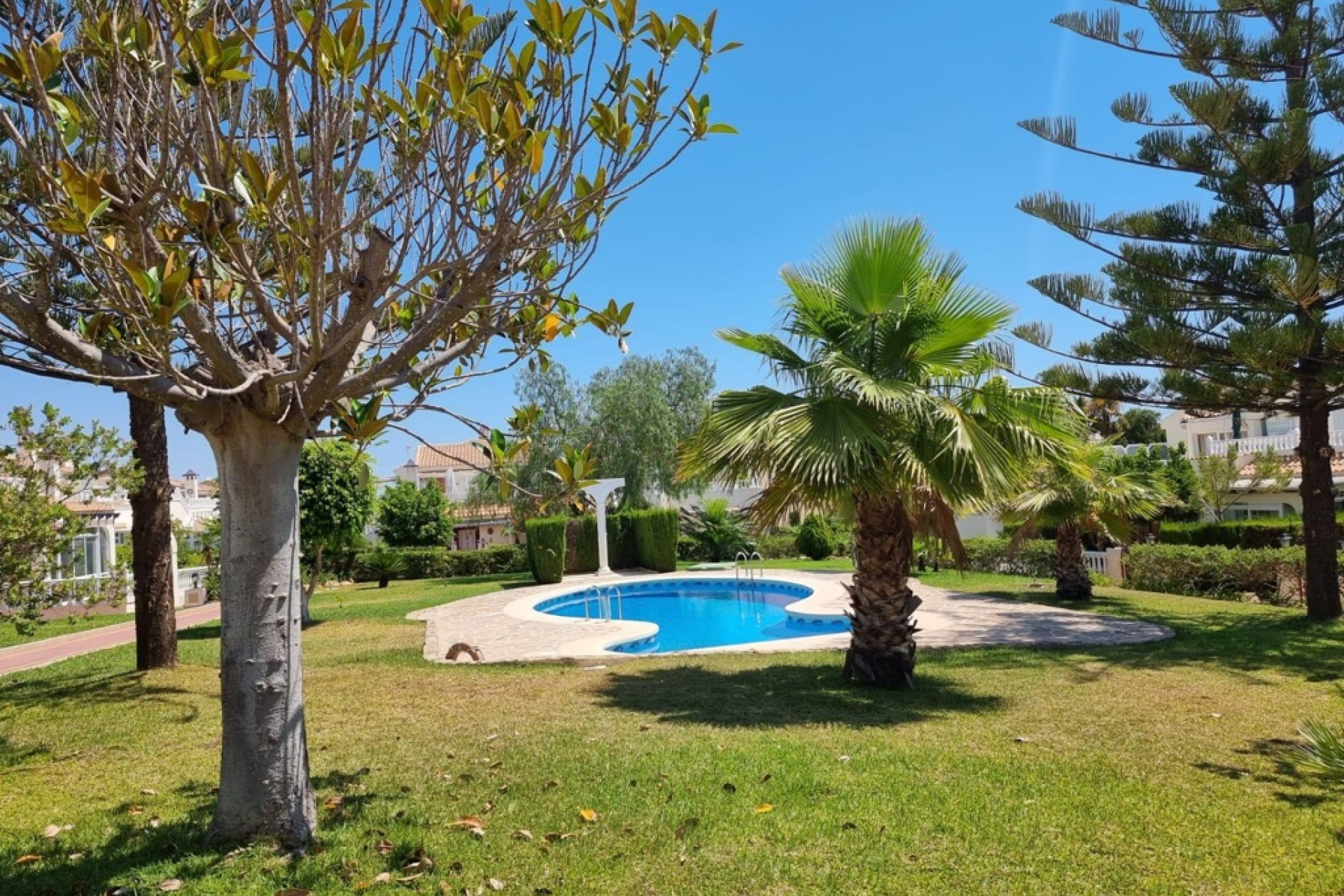 Reventa - 1. Apartamento / piso - Torrevieja - Costa Blanca Sur