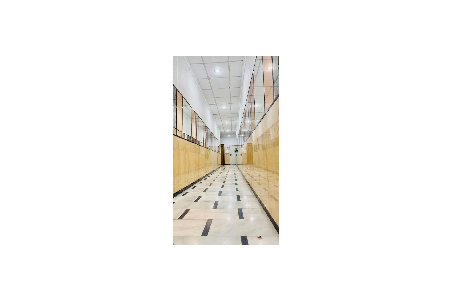 Reventa - 1. Apartamento / piso - Torrevieja - Costa Blanca Sur