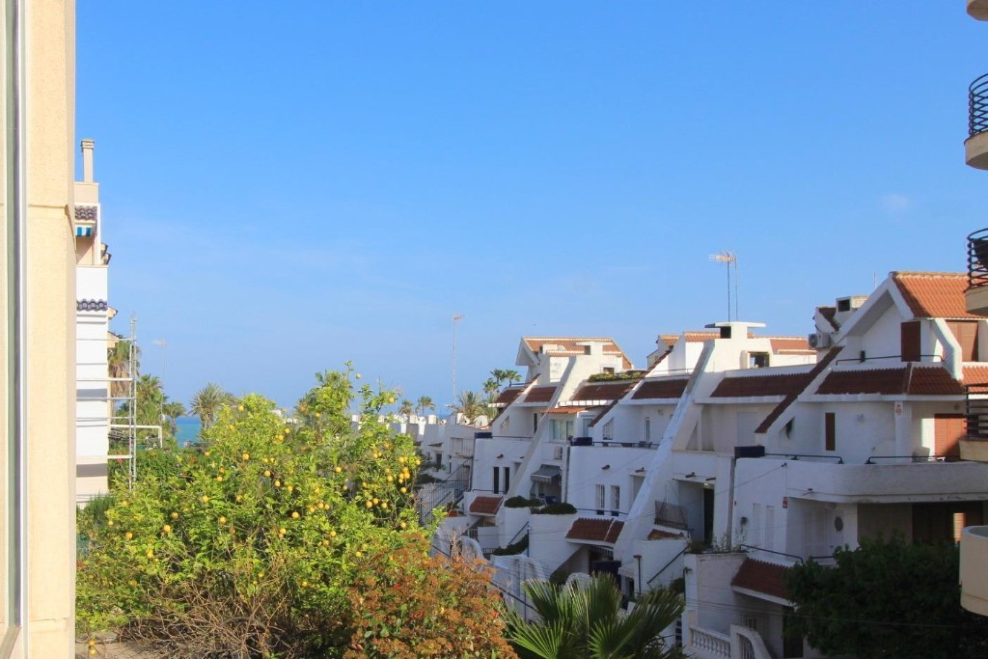 Reventa - 1. Apartamento / piso - Torrevieja - Costa Blanca Sur