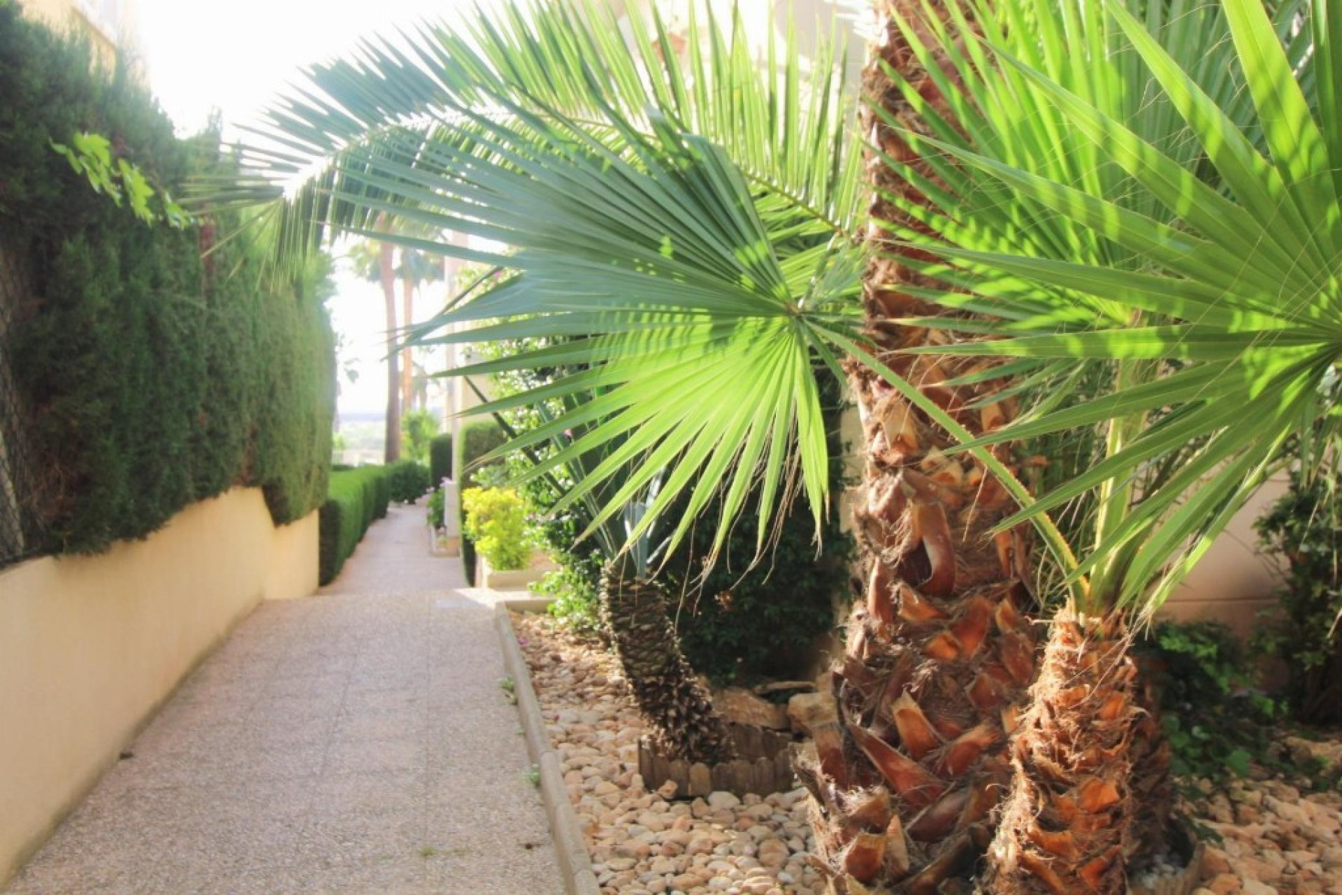 Reventa - 1. Apartamento / piso - Torrevieja - Costa Blanca Sur