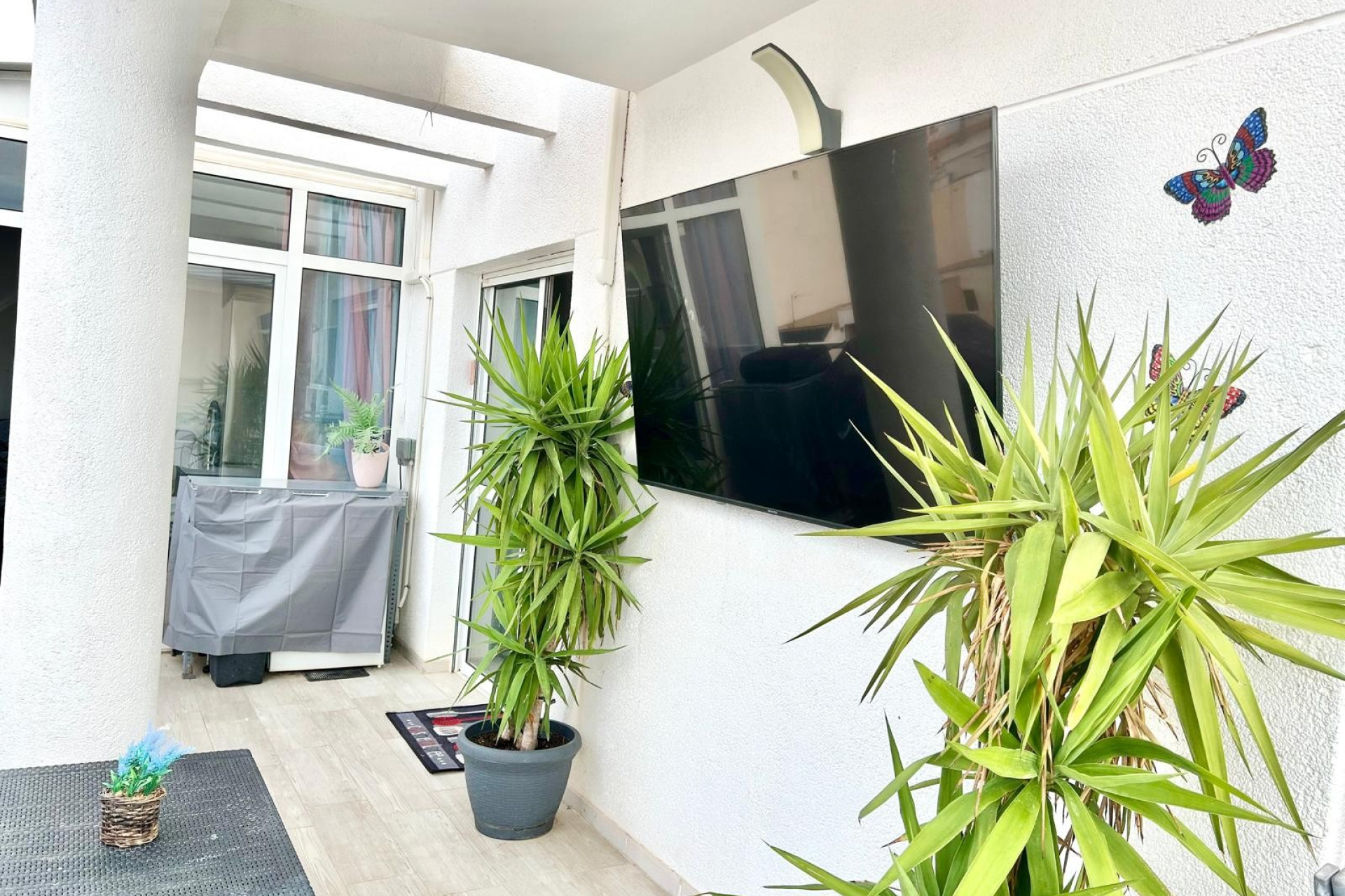 Reventa - 1. Apartamento / piso - Torrevieja - Costa Blanca Sur