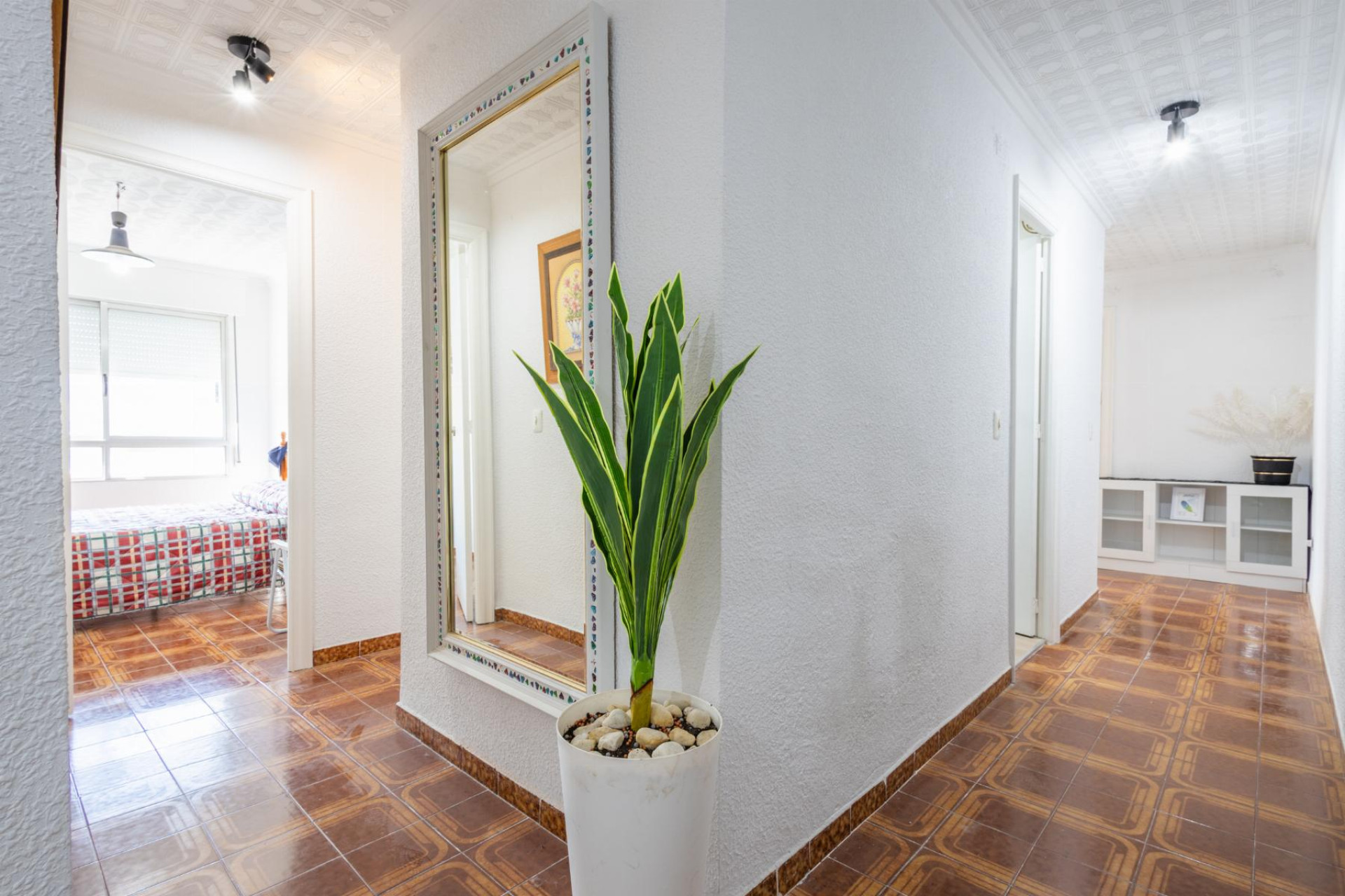 Reventa - 1. Apartamento / piso - Torrevieja - Costa Blanca Sur