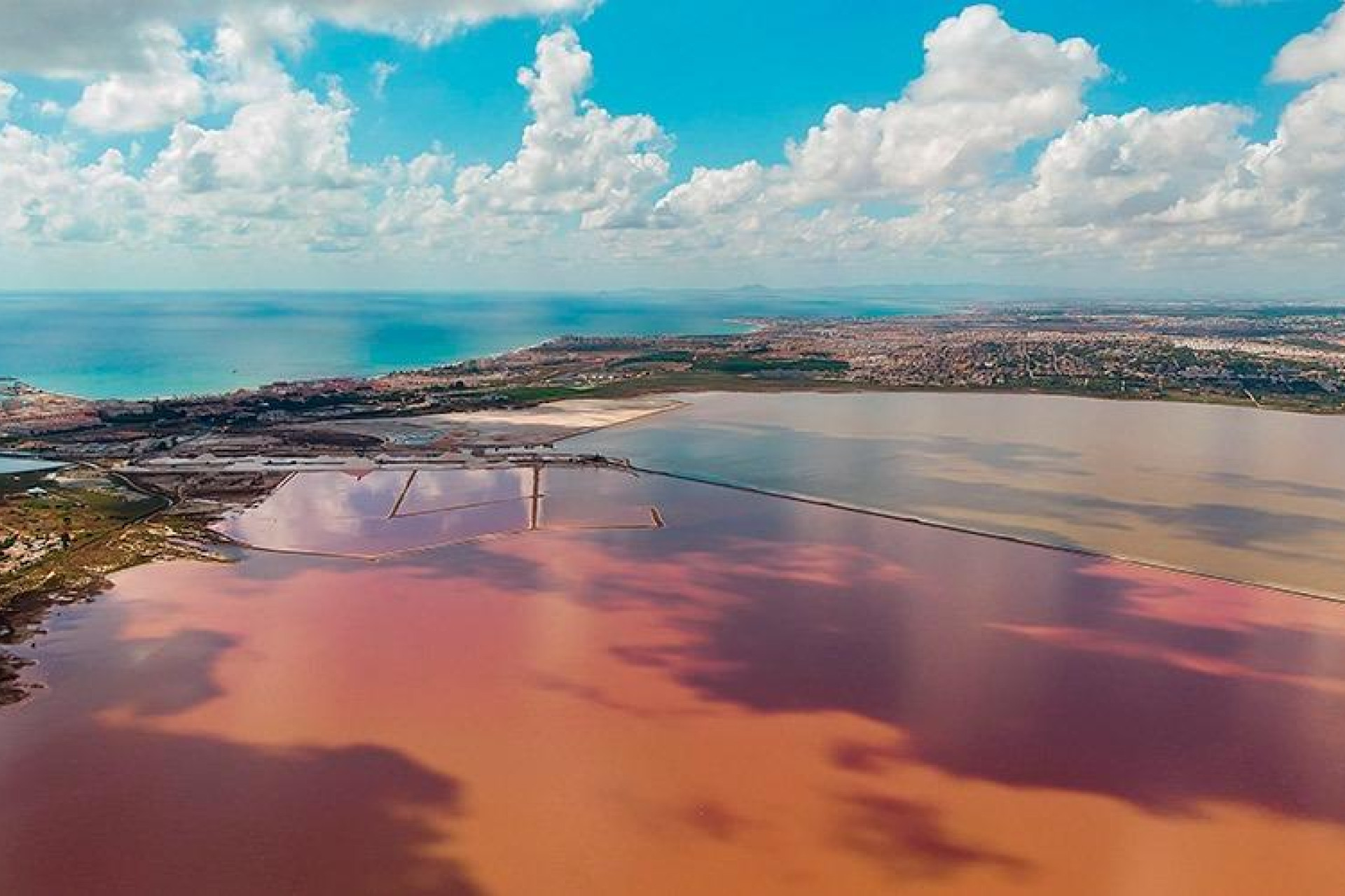 Reventa - 1. Apartamento / piso - Torrevieja - Costa Blanca Sur