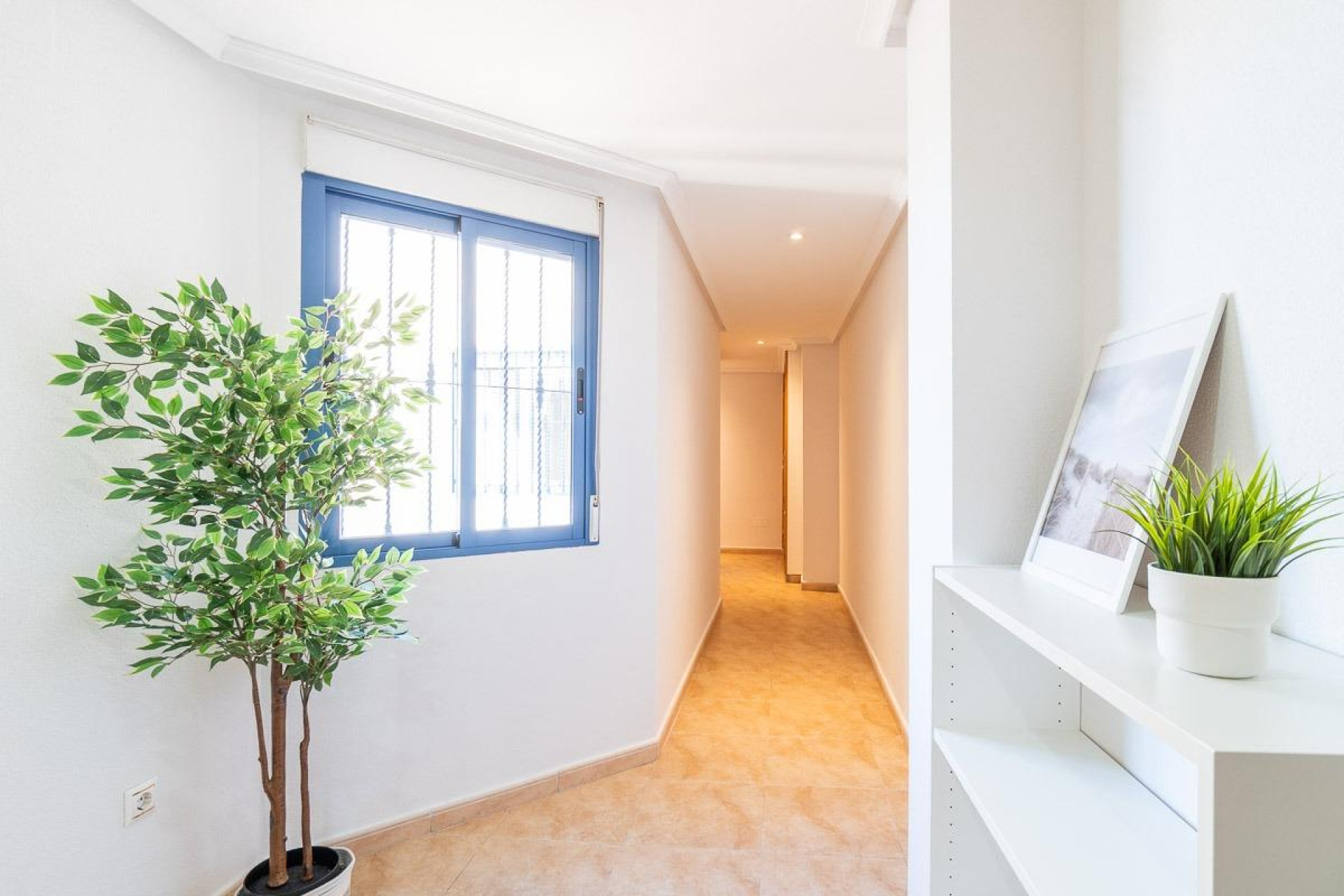 Reventa - 1. Apartamento / piso - Torrevieja - Costa Blanca Sur