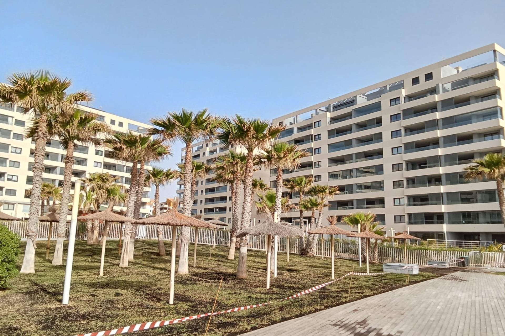 Reventa - 1. Apartamento / piso - Torrevieja - Costa Blanca Sur