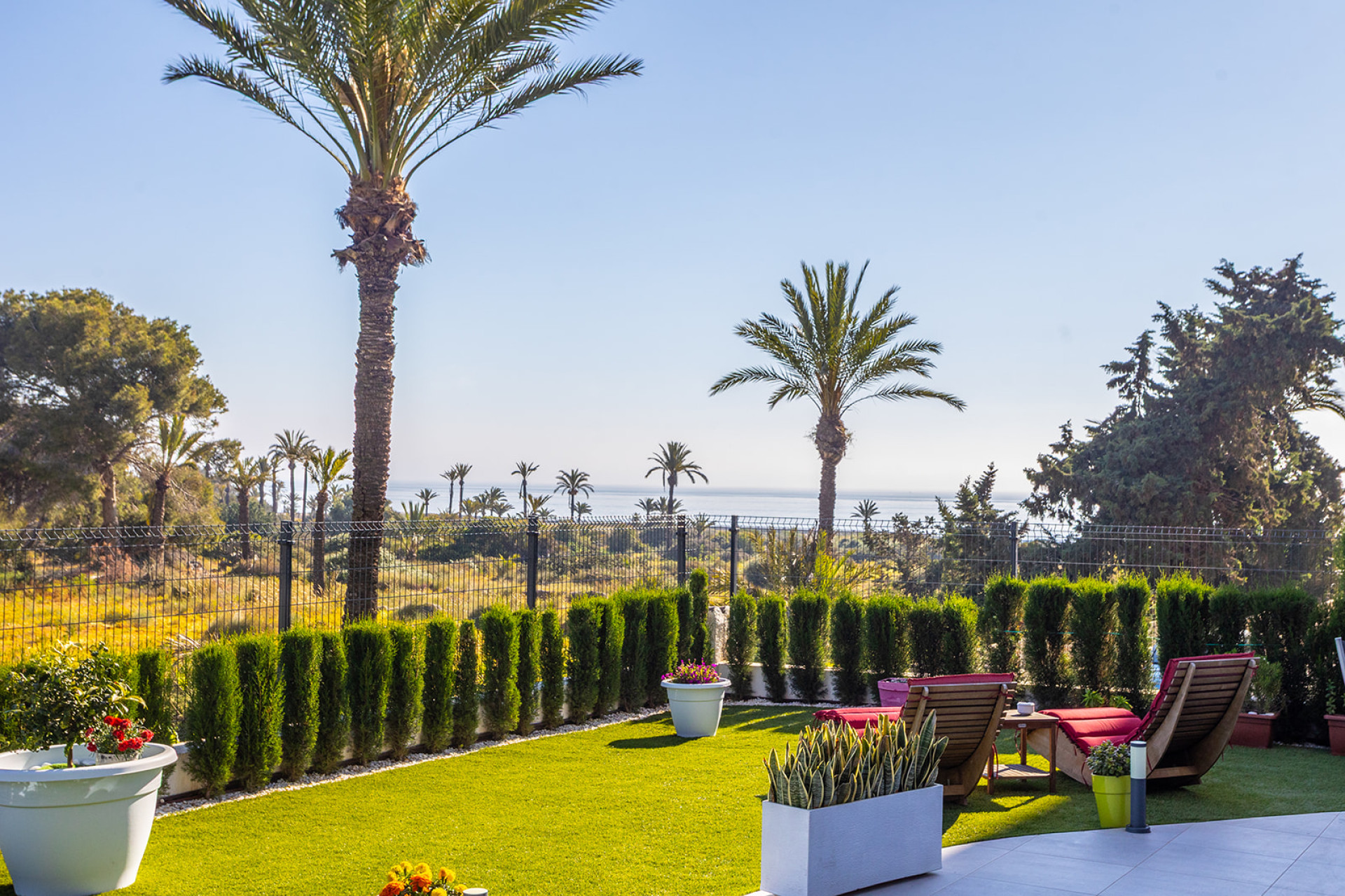 Reventa - 1. Apartamento / piso - Torrevieja - Costa Blanca Sur