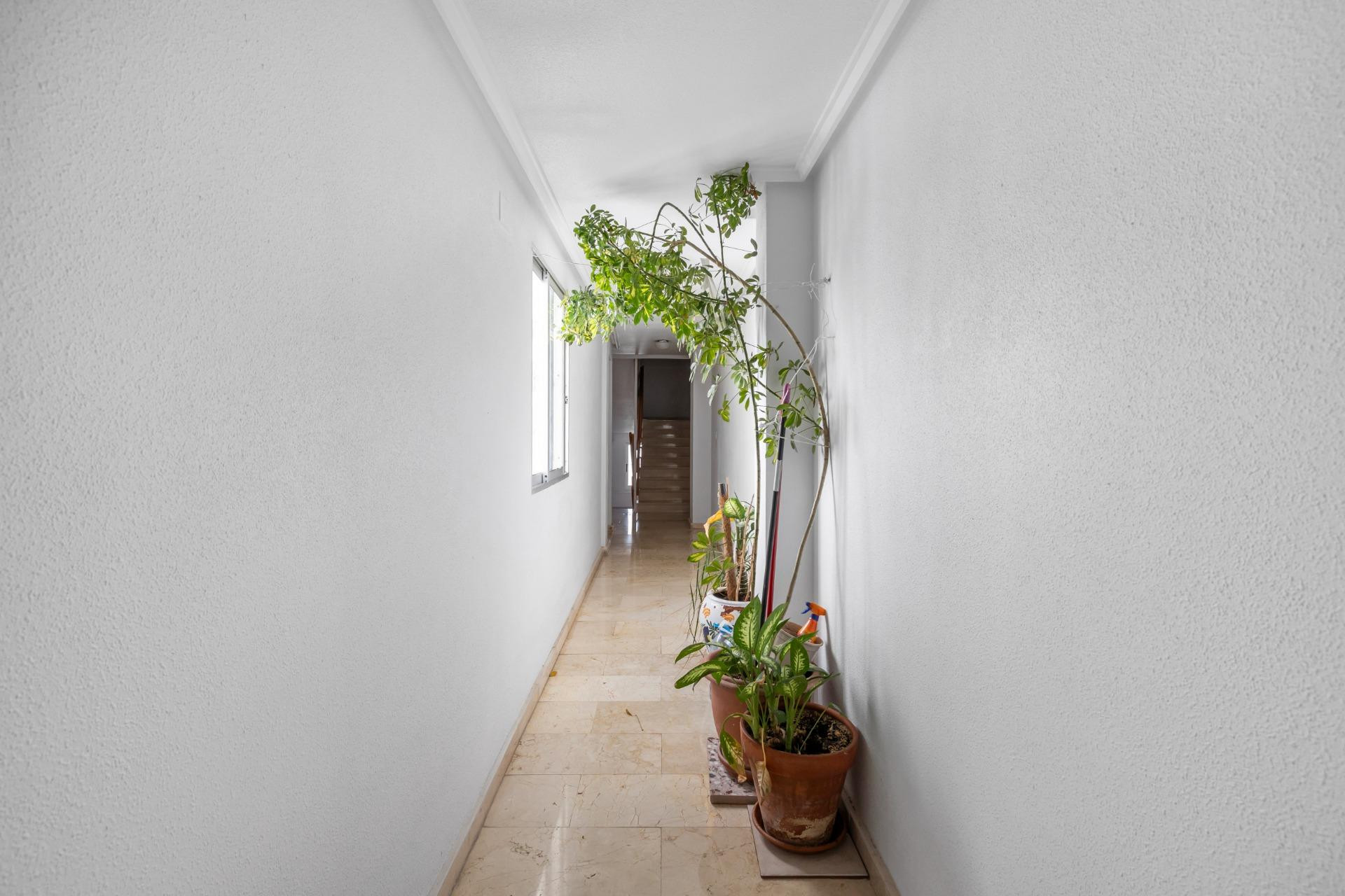 Reventa - 1. Apartamento / piso - Torrevieja - Costa Blanca Sur