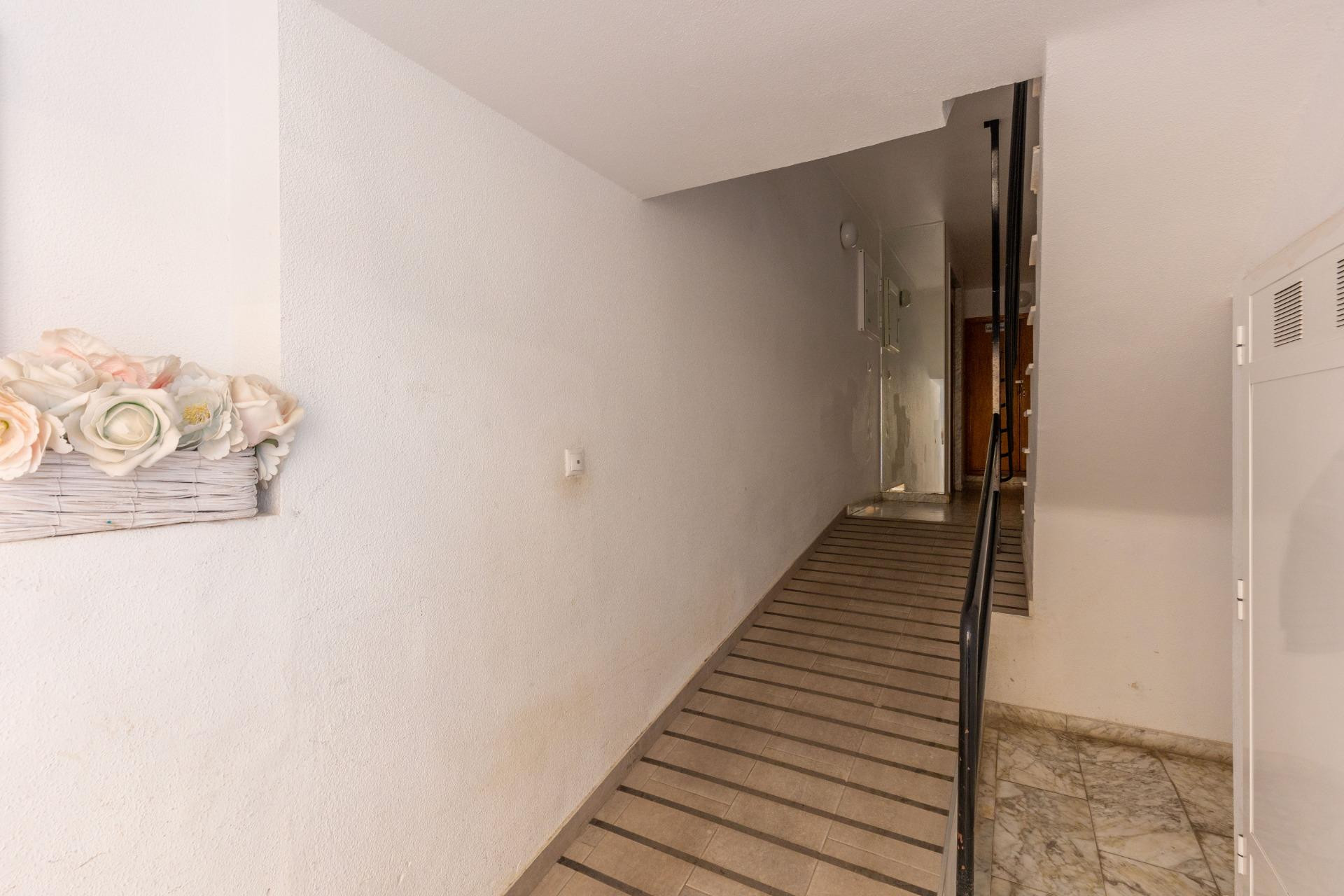 Reventa - 1. Apartamento / piso - Torrevieja - Costa Blanca Sur