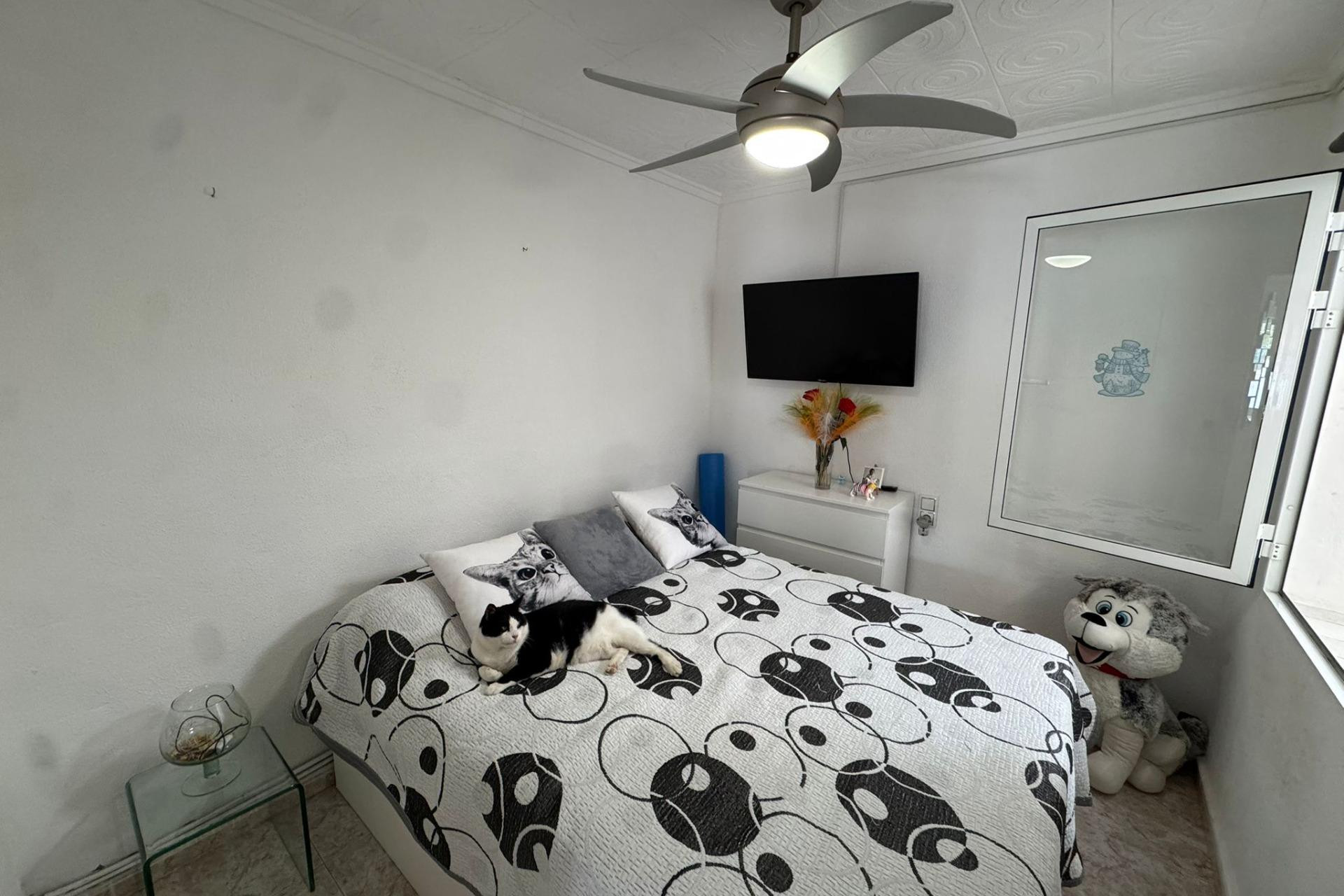 Reventa - 1. Apartamento / piso - Torrevieja - Costa Blanca Sur
