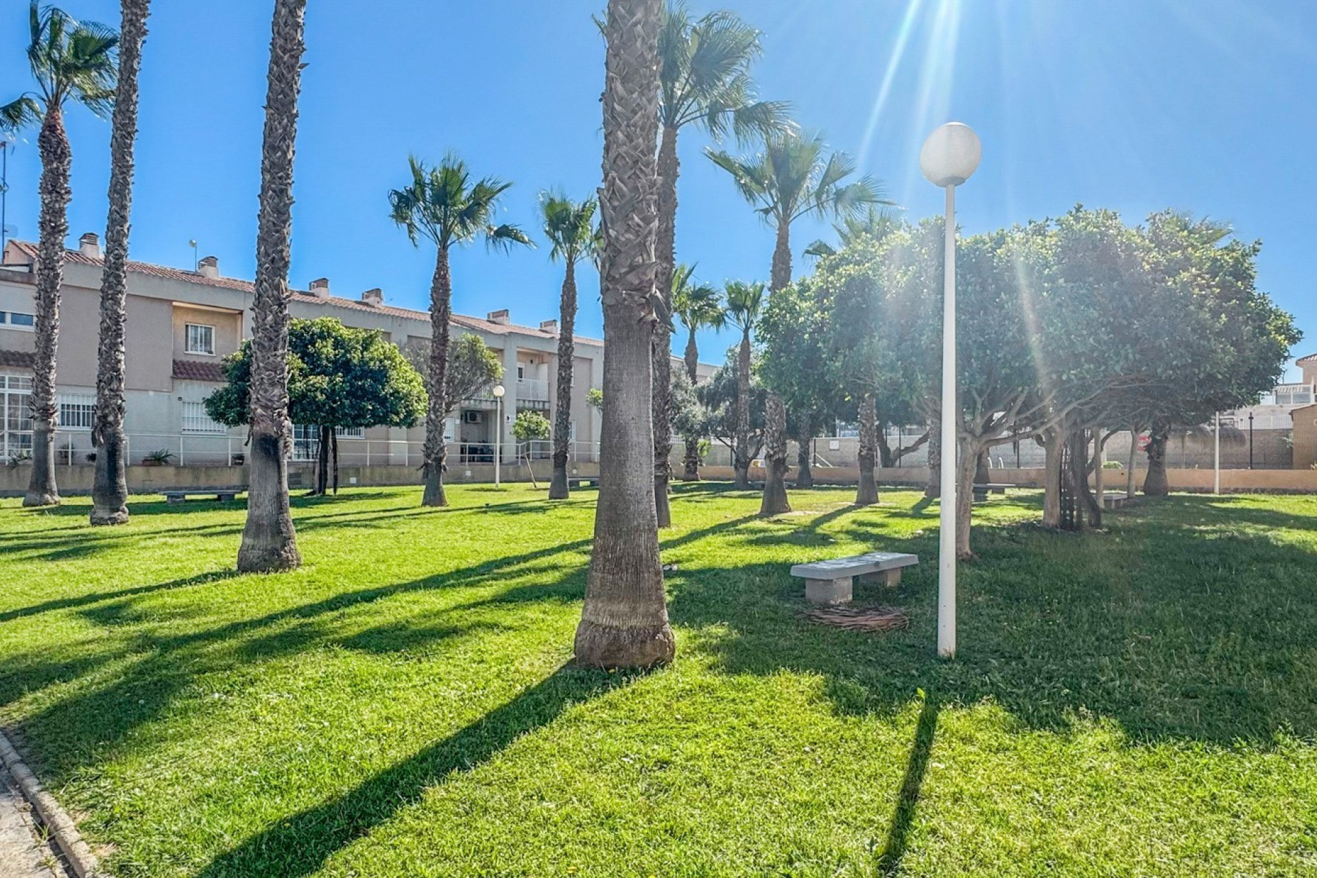 Reventa - 1. Apartamento / piso - Torrevieja - Costa Blanca Sur