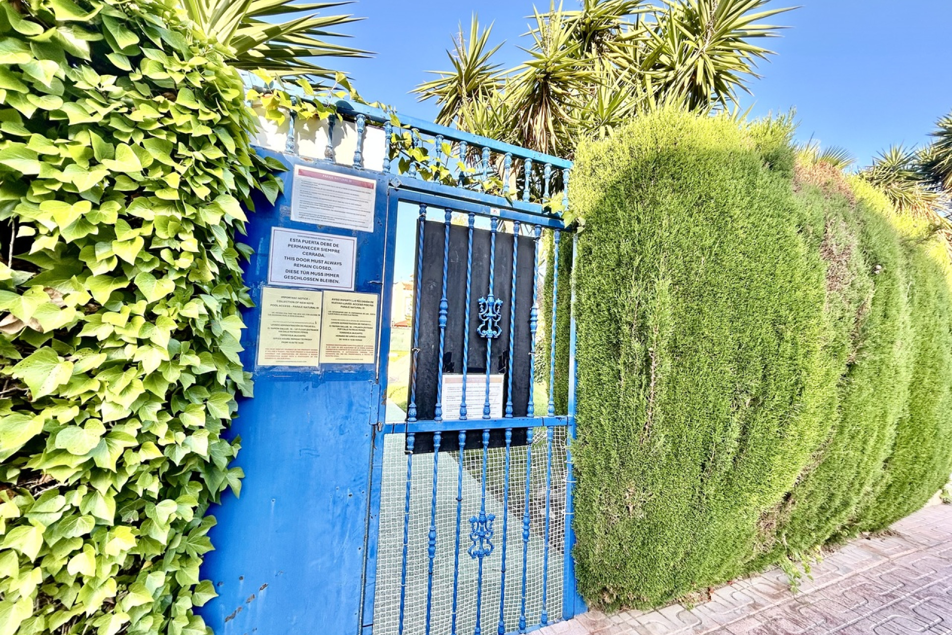 Reventa - 1. Apartamento / piso - Torrevieja - Costa Blanca Sur