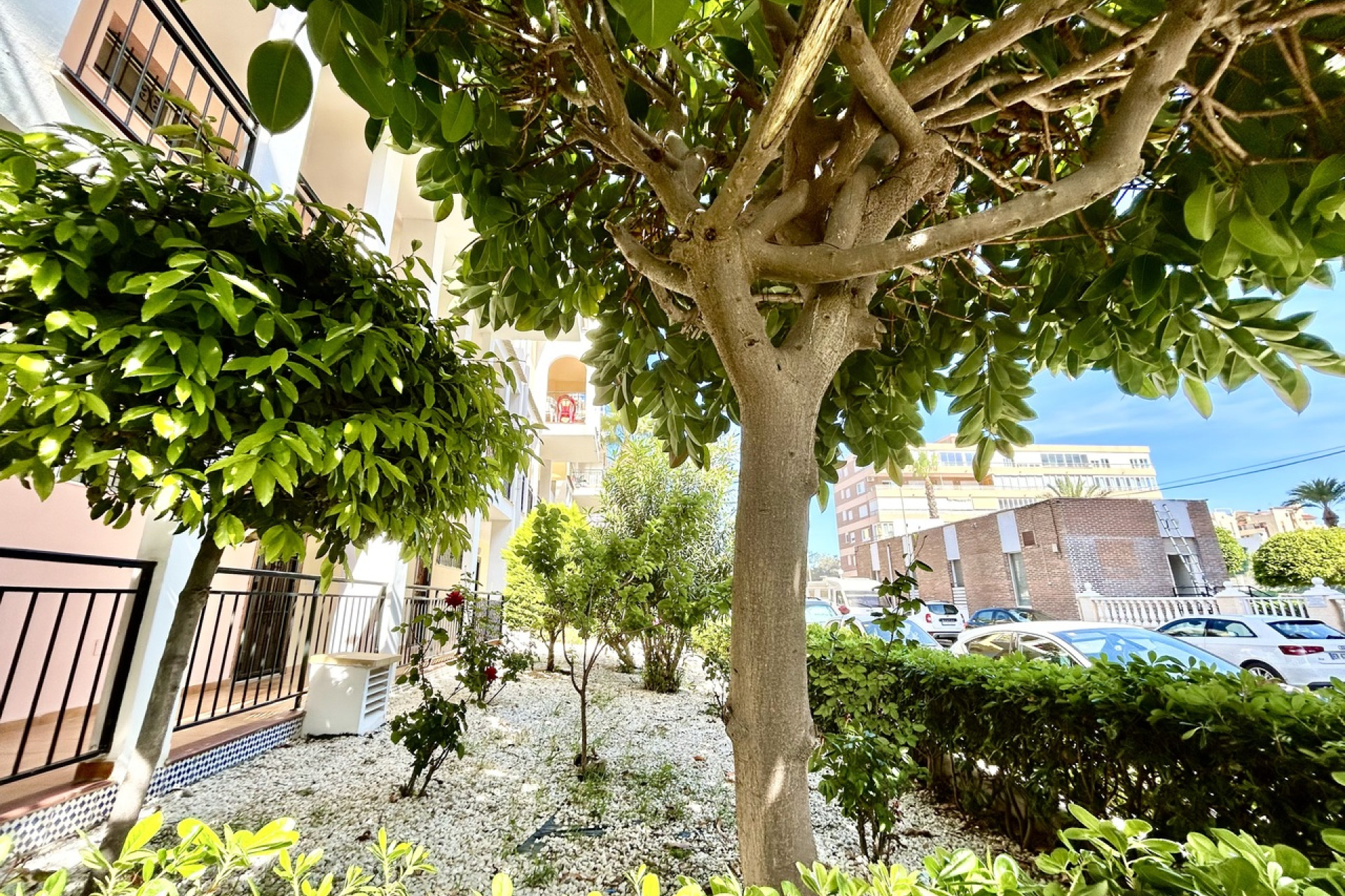 Reventa - 1. Apartamento / piso - Torrevieja - Costa Blanca Sur