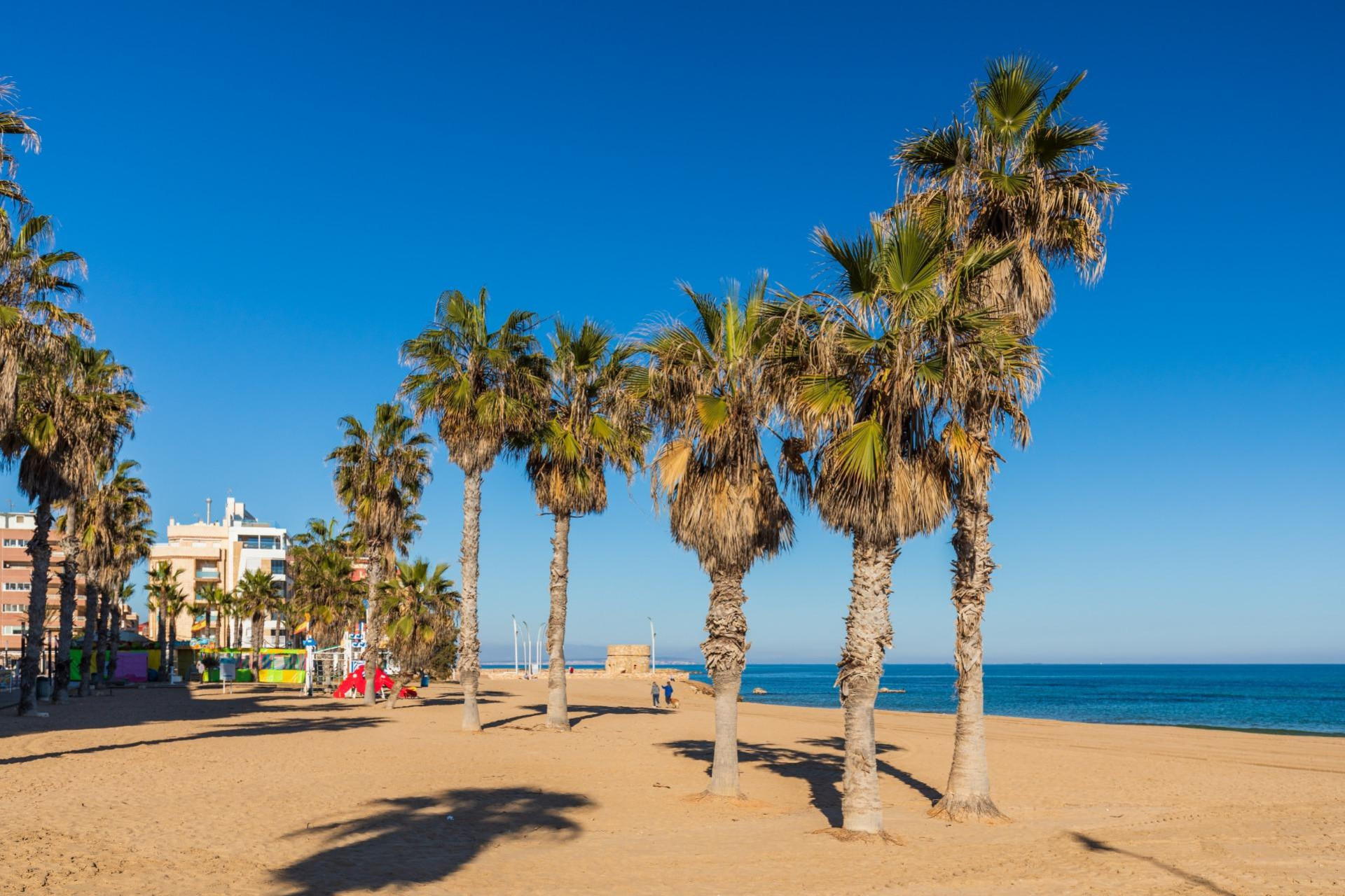 Reventa - 1. Apartamento / piso - Torrevieja - Costa Blanca Sur