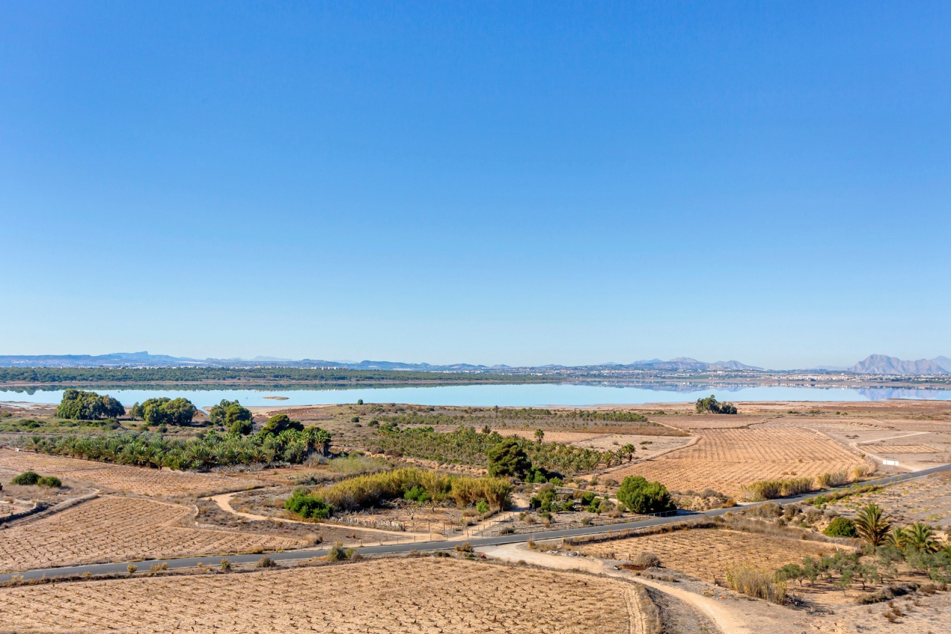 Reventa - 1. Apartamento / piso - Torrevieja - Costa Blanca Sur