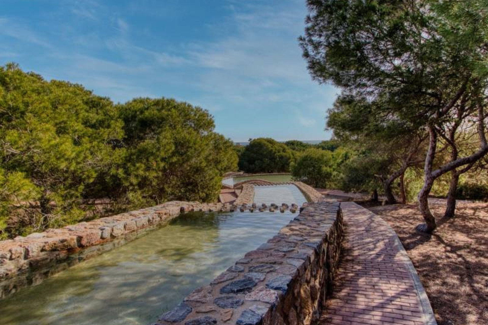 Reventa - 1. Apartamento / piso - Torrevieja - Costa Blanca Sur