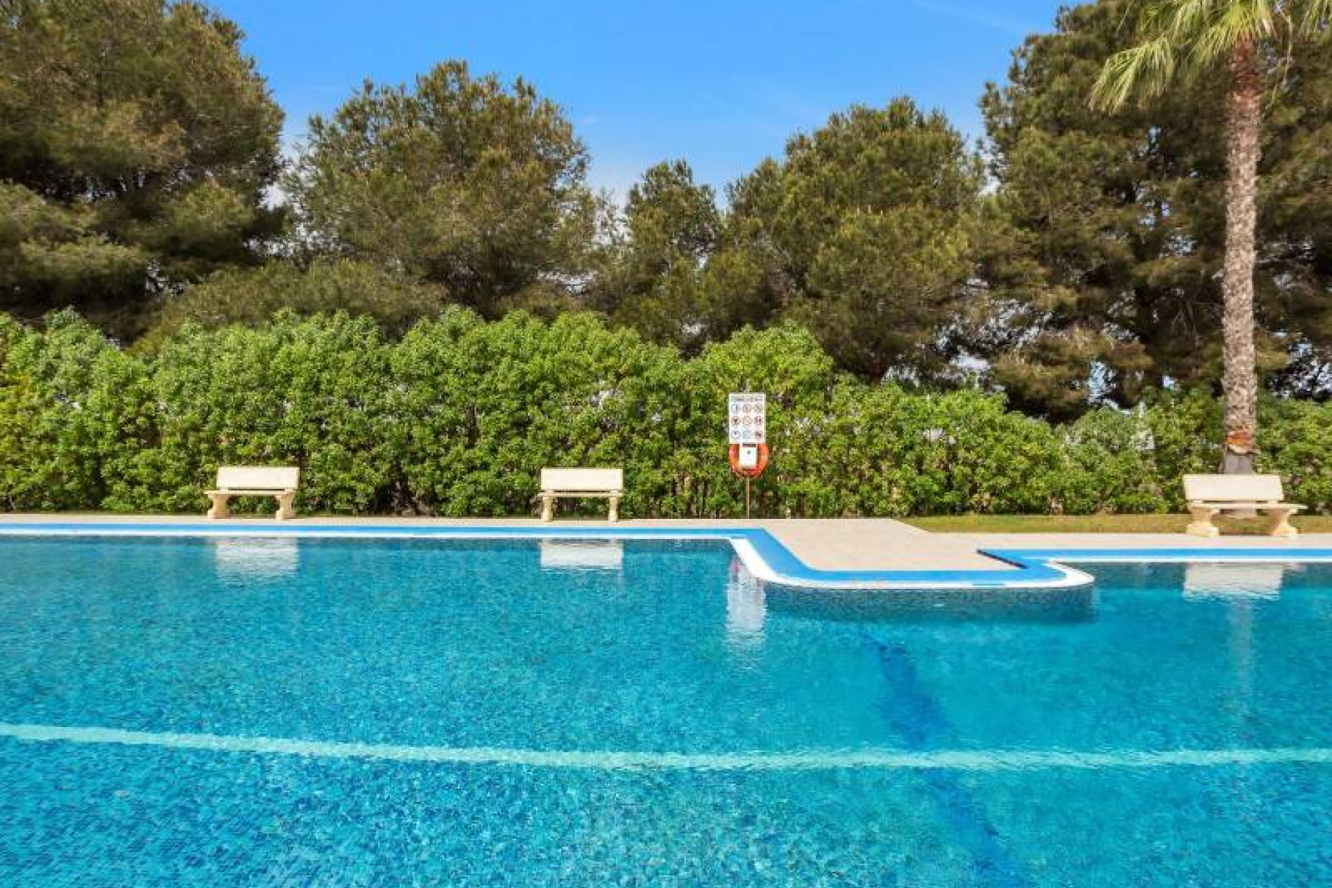 Reventa - 1. Apartamento / piso - Torrevieja - Costa Blanca Sur