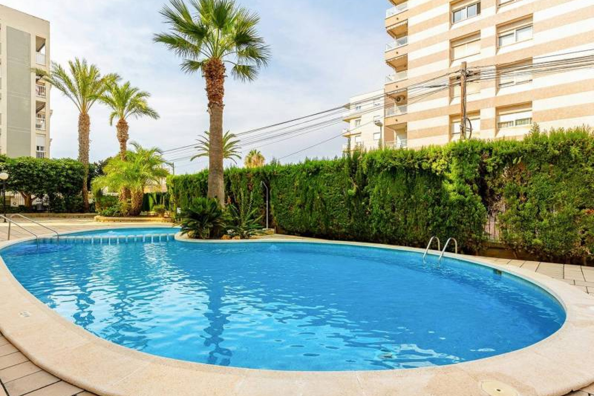 Reventa - 1. Apartamento / piso - Torrevieja - Costa Blanca Sur