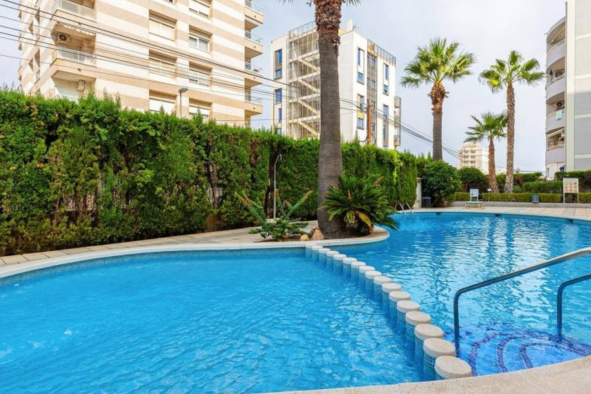 Reventa - 1. Apartamento / piso - Torrevieja - Costa Blanca Sur