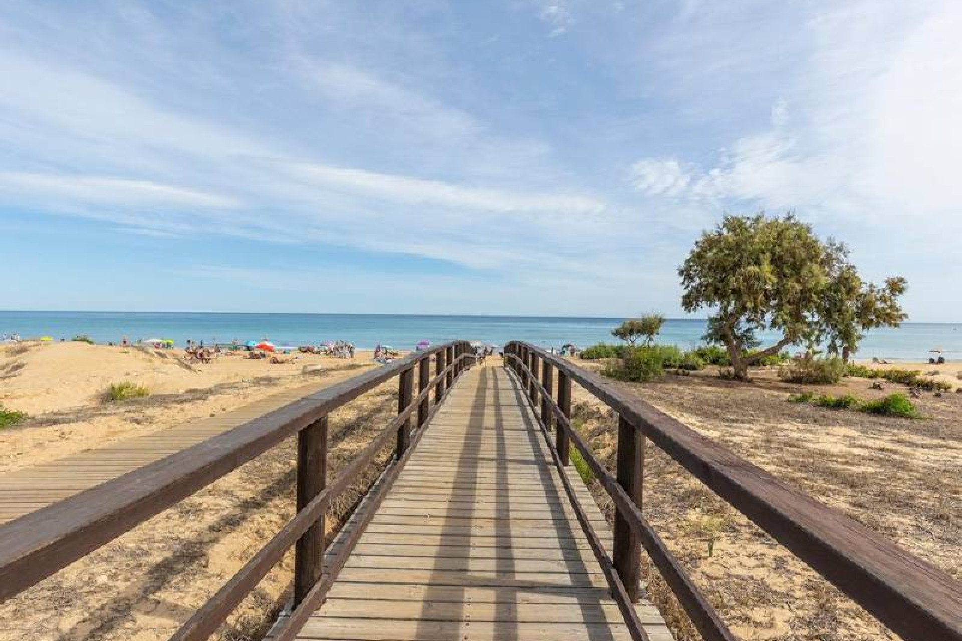 Reventa - 1. Apartamento / piso - Torrevieja - Costa Blanca Sur