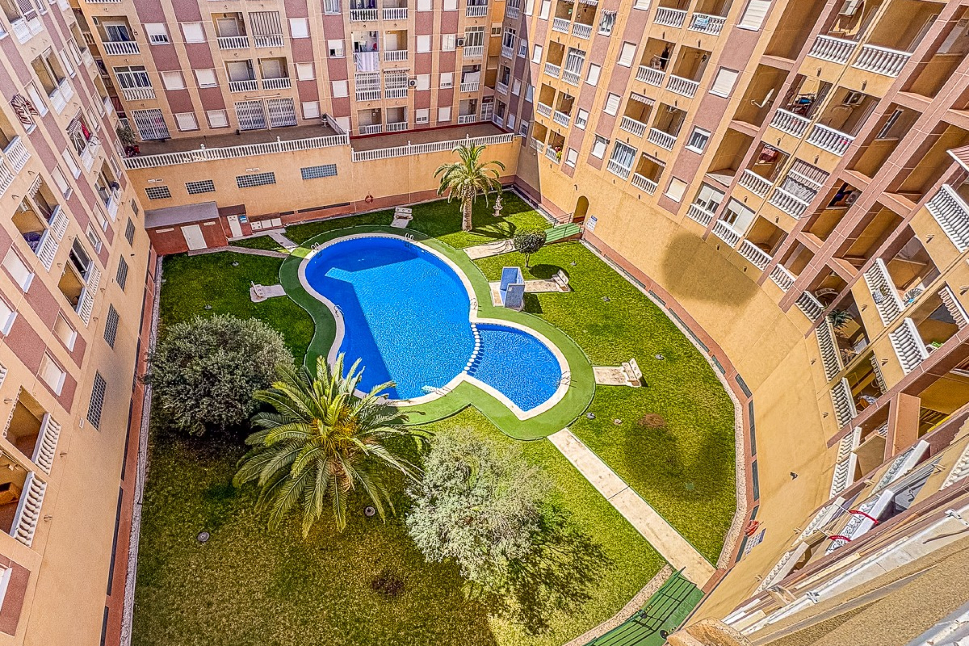 Reventa - 1. Apartamento / piso - Torrevieja - Parque de las Naciones