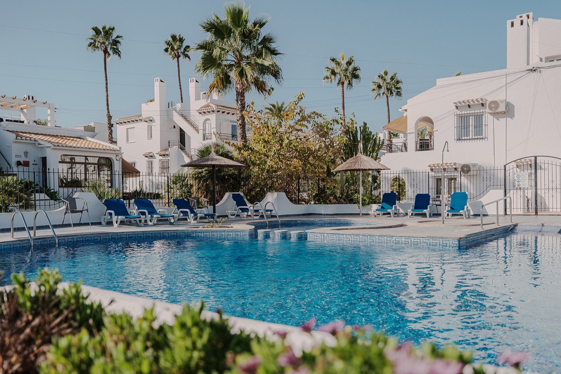 Reventa - 1. Apartamento / piso - Villamartin - Costa Blanca Sur