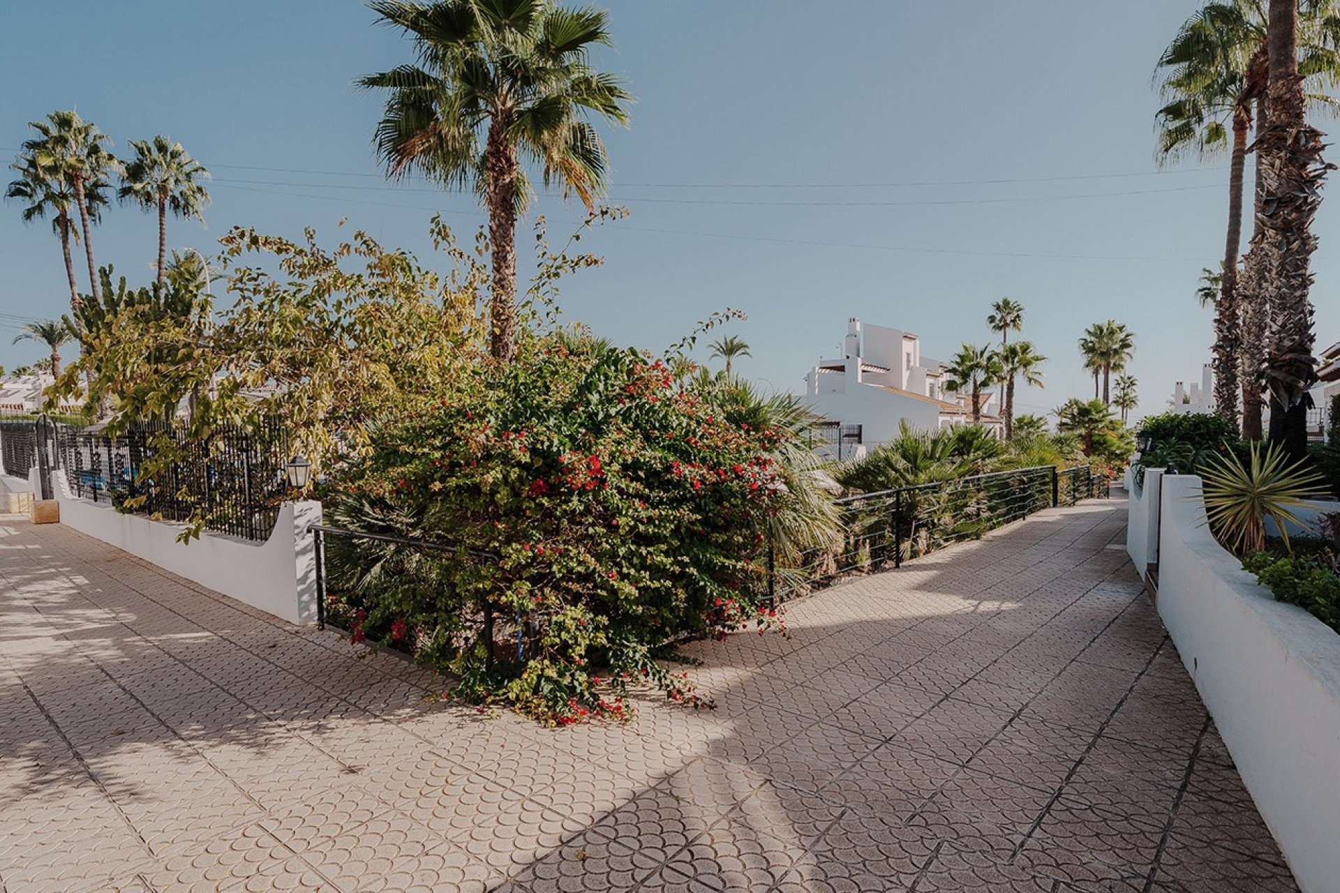 Reventa - 1. Apartamento / piso - Villamartin - Costa Blanca Sur