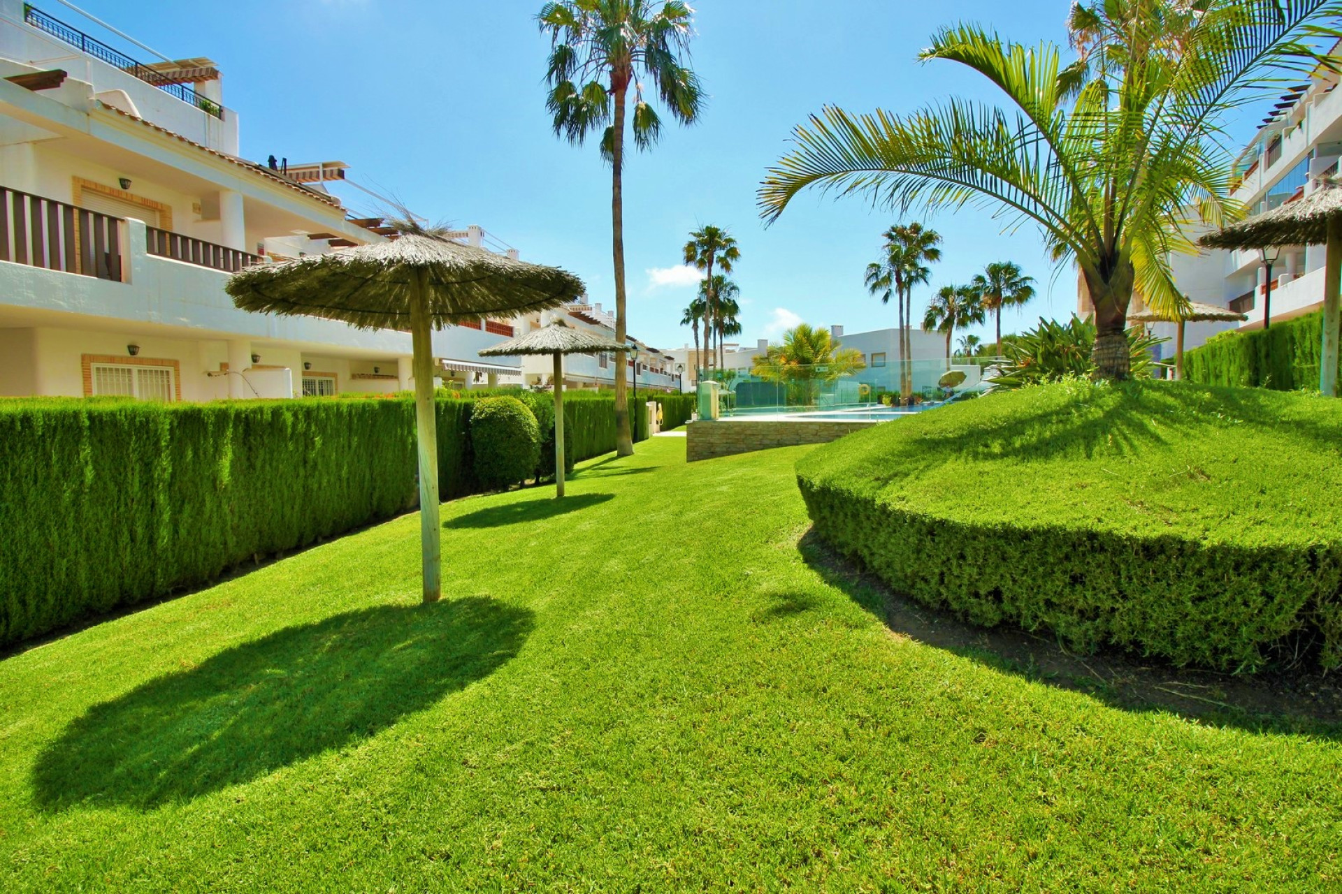 Reventa - 1. Apartamento / piso - Villamartin - Costa Blanca Sur