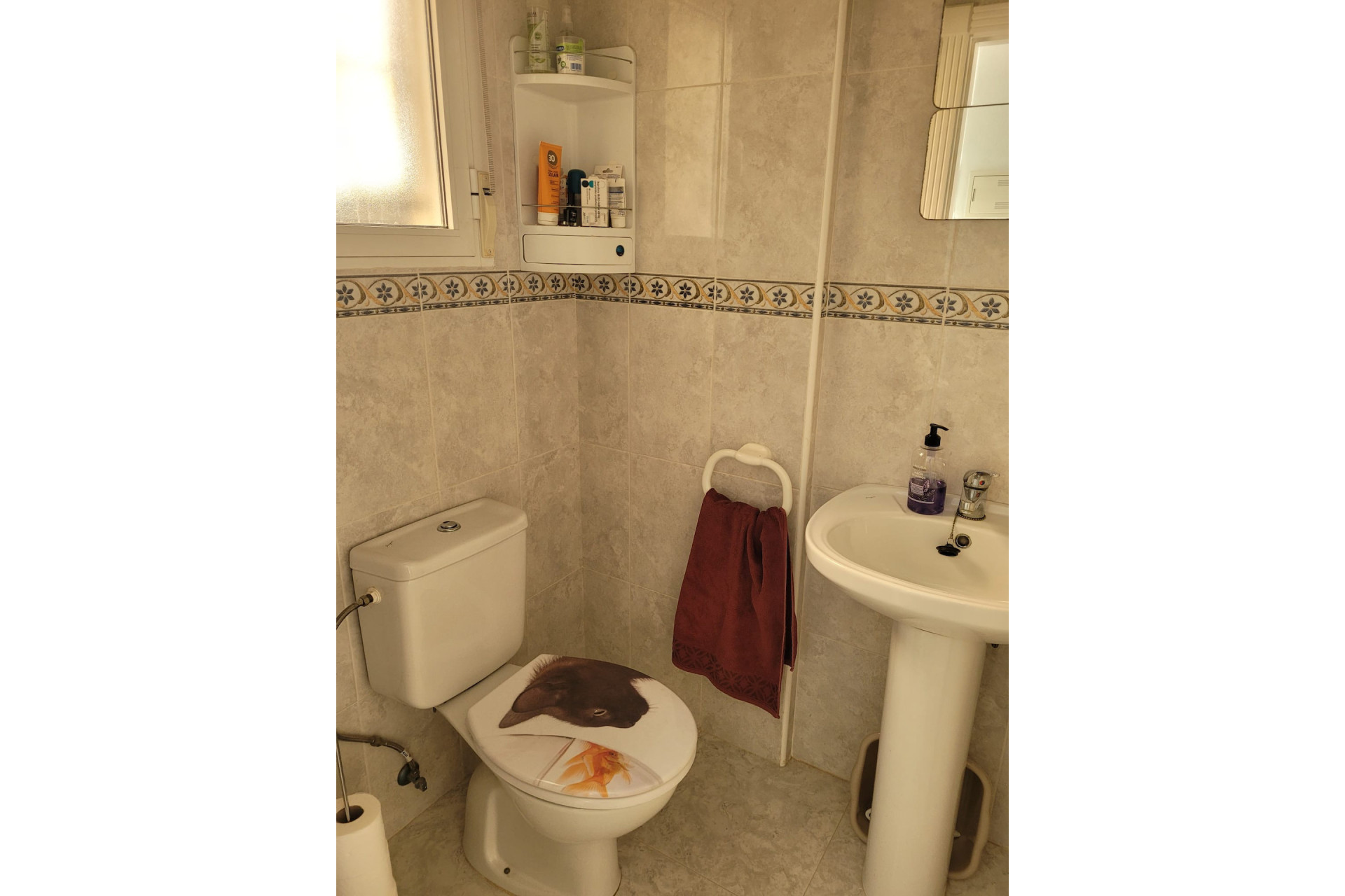 Reventa - 2. Chalet adosado - Algorfa - Costa Blanca Sur