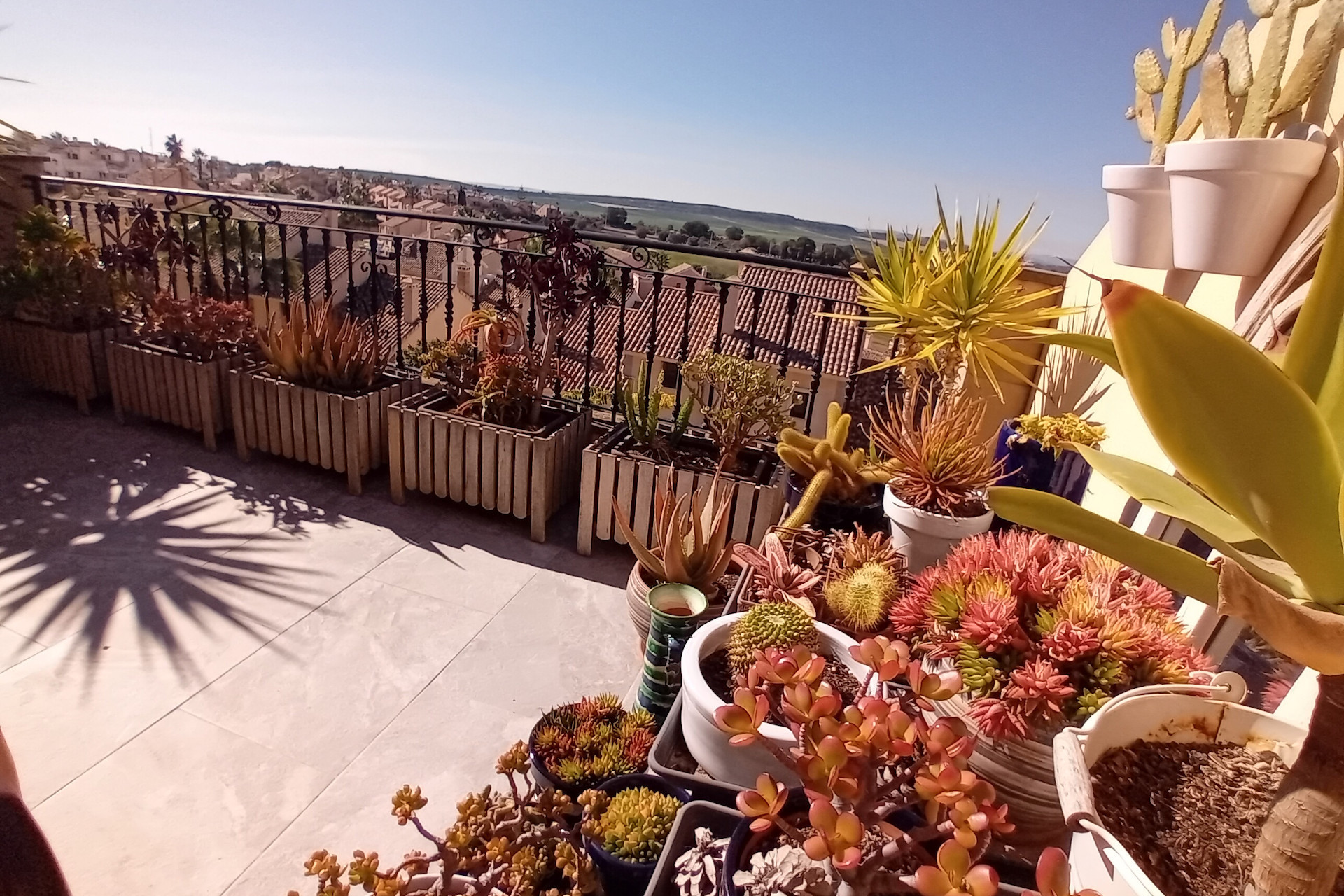 Reventa - 2. Chalet adosado - Algorfa - Costa Blanca Sur