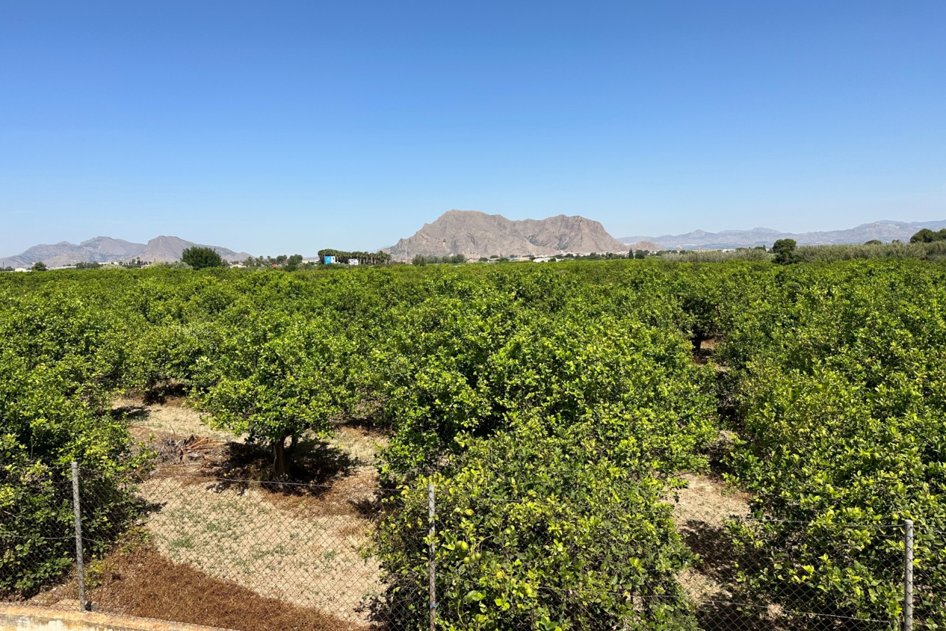 Reventa - 2. Chalet adosado - Benejúzar - Costa Blanca Sur