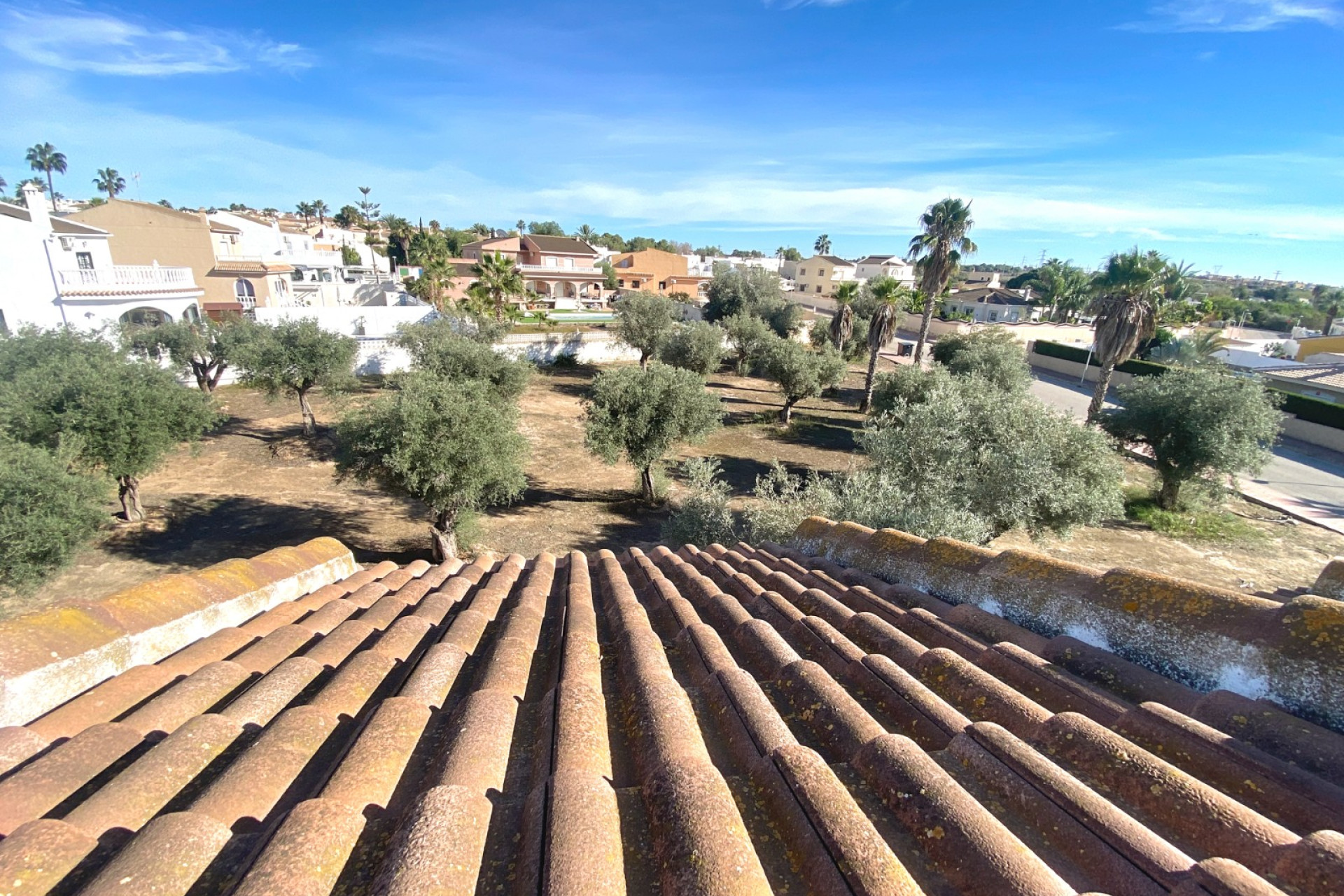 Reventa - 2. Chalet adosado - Benijofar - Costa Blanca Sur