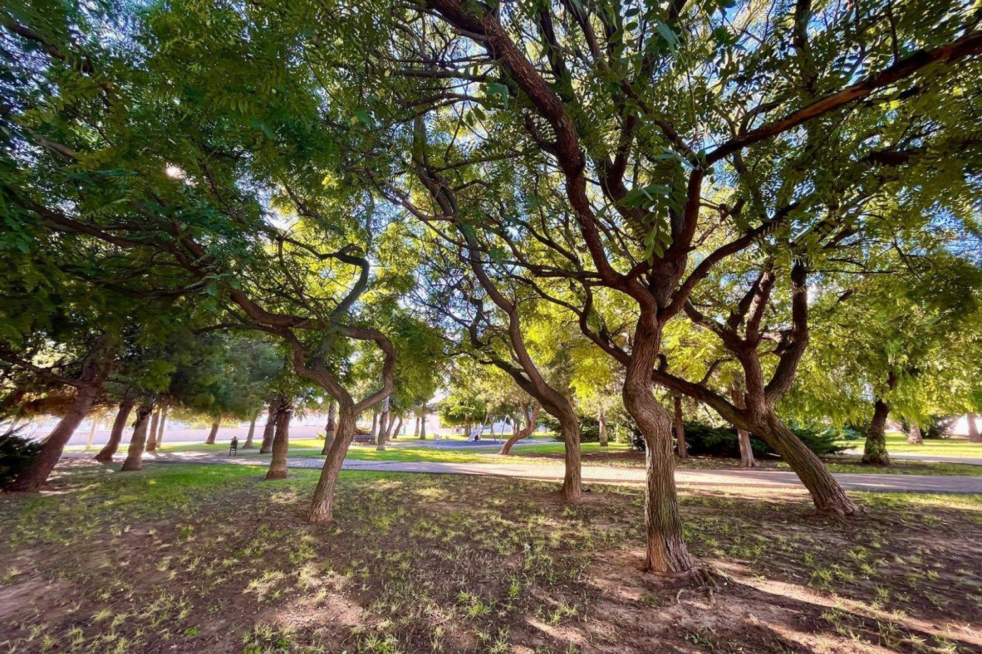 Reventa - 2. Chalet adosado - Torrevieja - Costa Blanca Sur