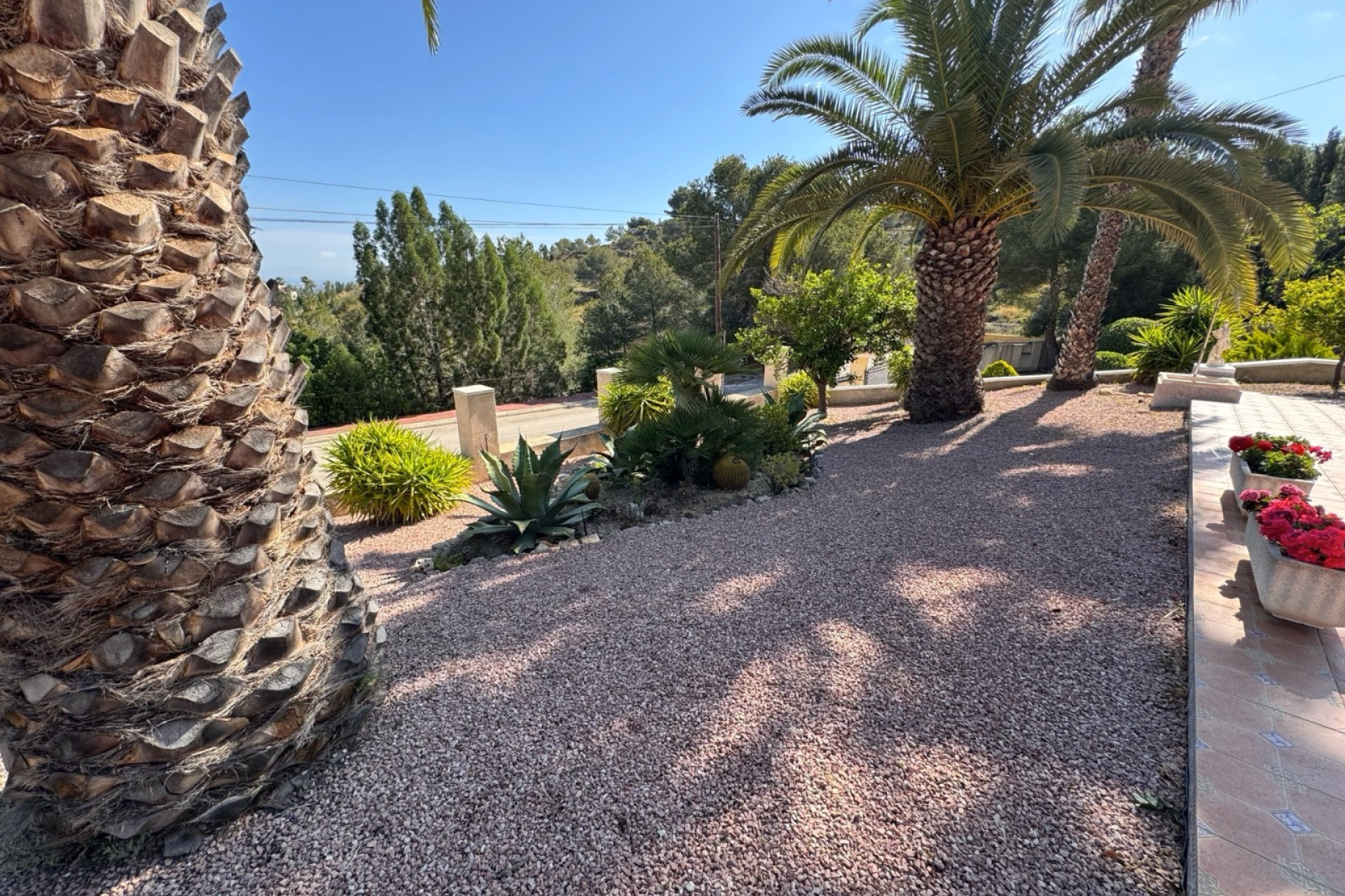 Reventa - 3. Casa indepiende - Algorfa - Costa Blanca Sur