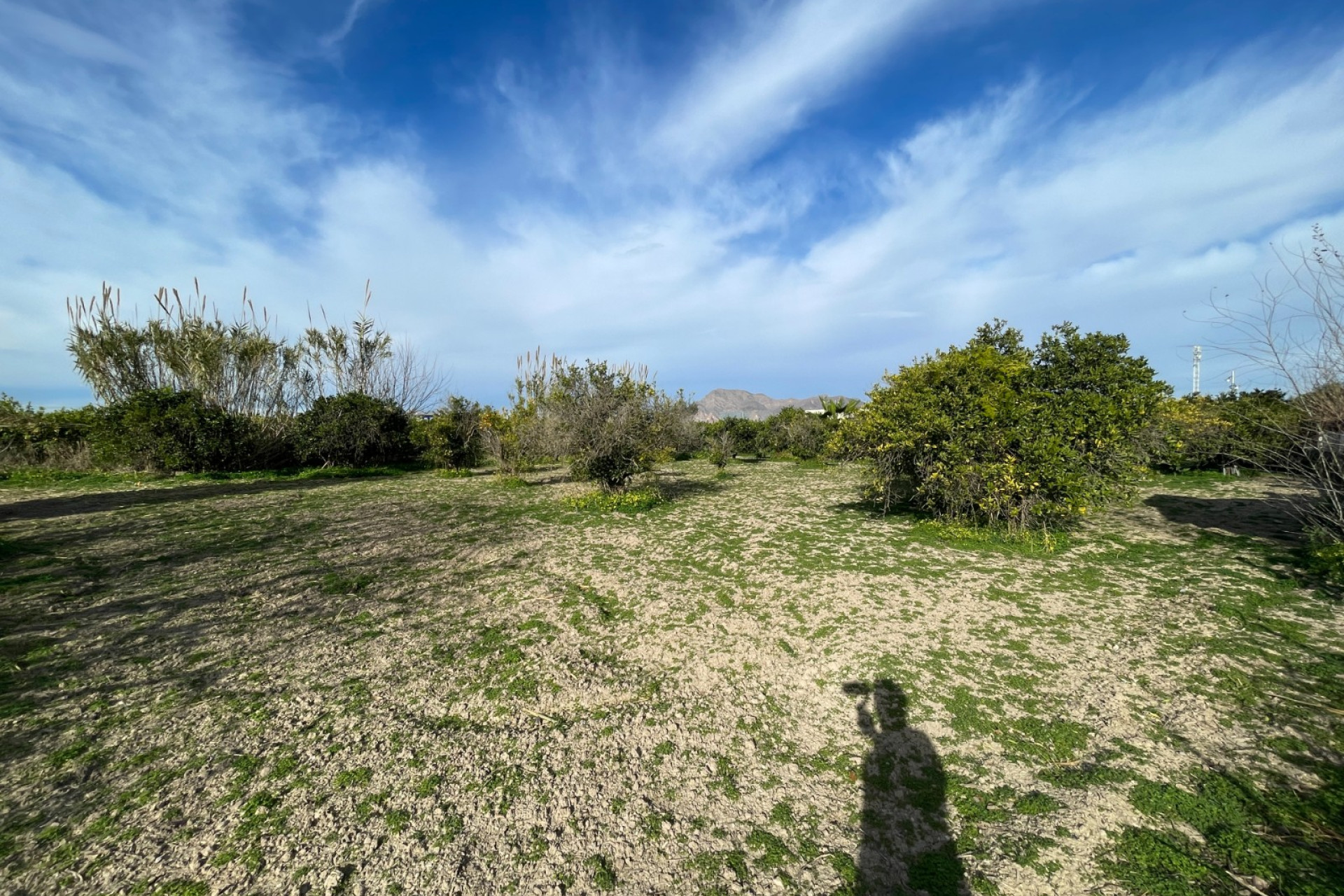 Reventa - 3. Casa indepiende - Benejúzar - Comunidad Valenciana