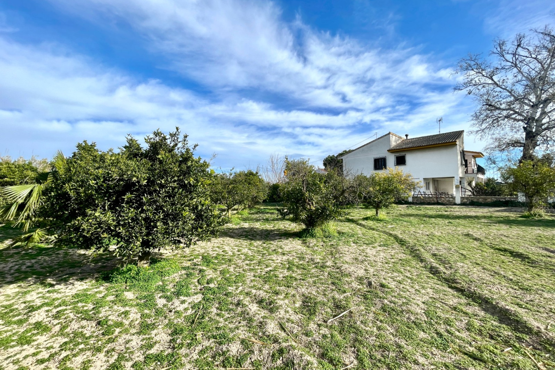 Reventa - 3. Casa indepiende - Benejúzar - Comunidad Valenciana