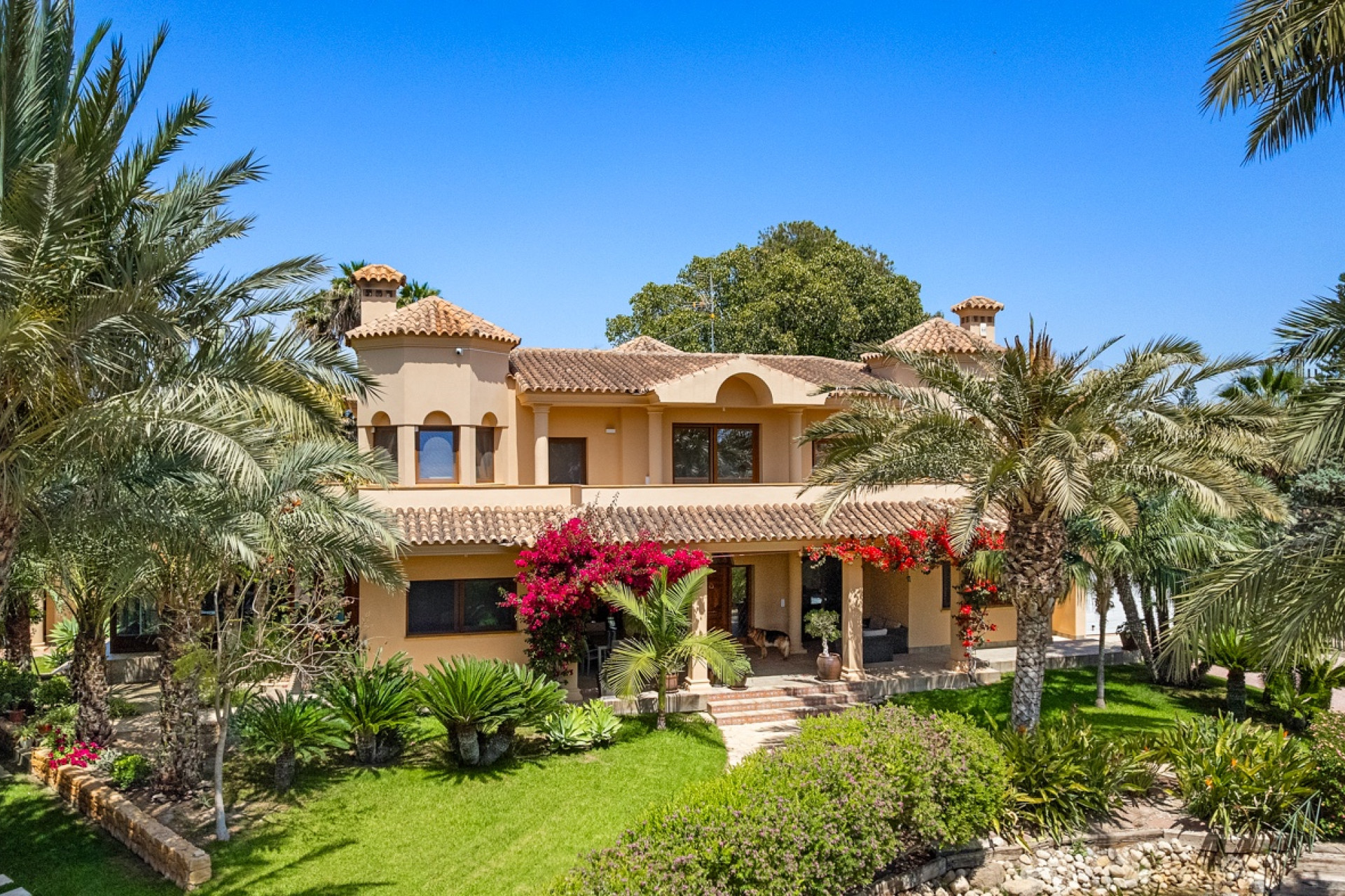 Reventa - 3. Casa indepiende - Elche - Costa Blanca Sur